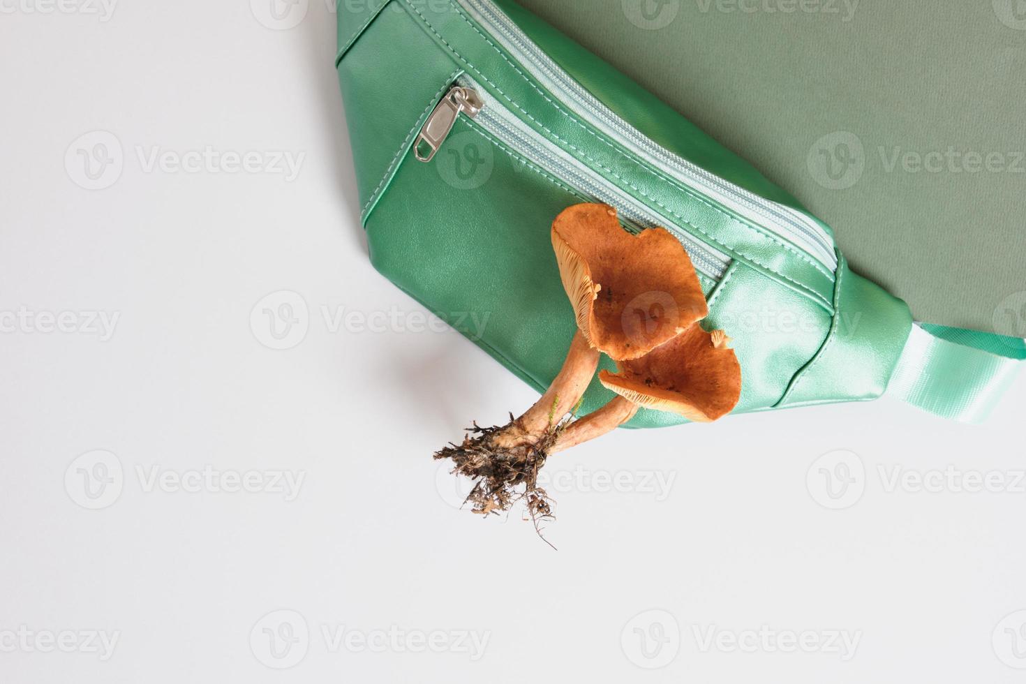 bolsa de cinturón verde y hongos venenosos sobre un fondo verde y gris, cuero ecológico de micelio de hongos foto