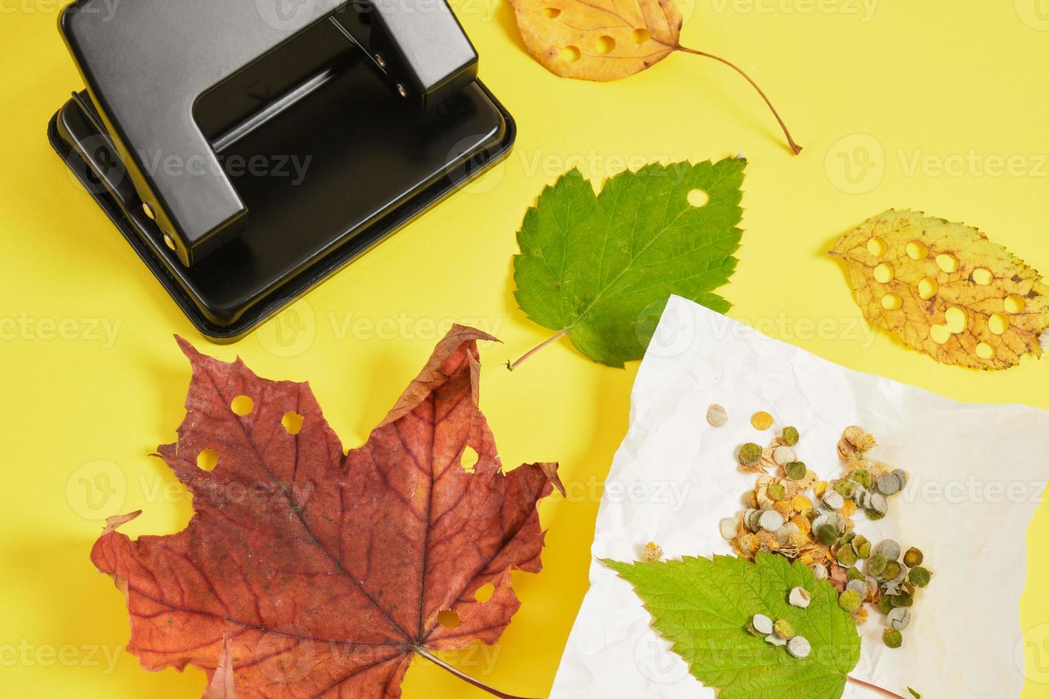 hole punch and autumn leaves on a yellow background, eco confetti from natural materials photo