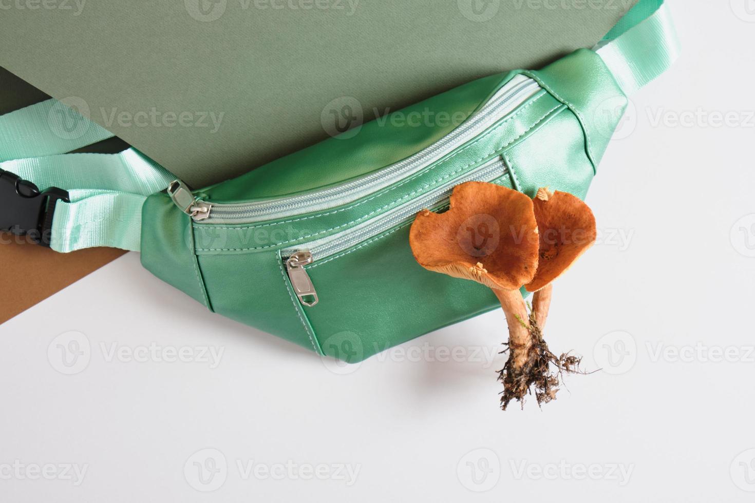 bolsa de cinturón verde y hongos venenosos sobre un fondo verde y gris, cuero ecológico de micelio de hongos foto