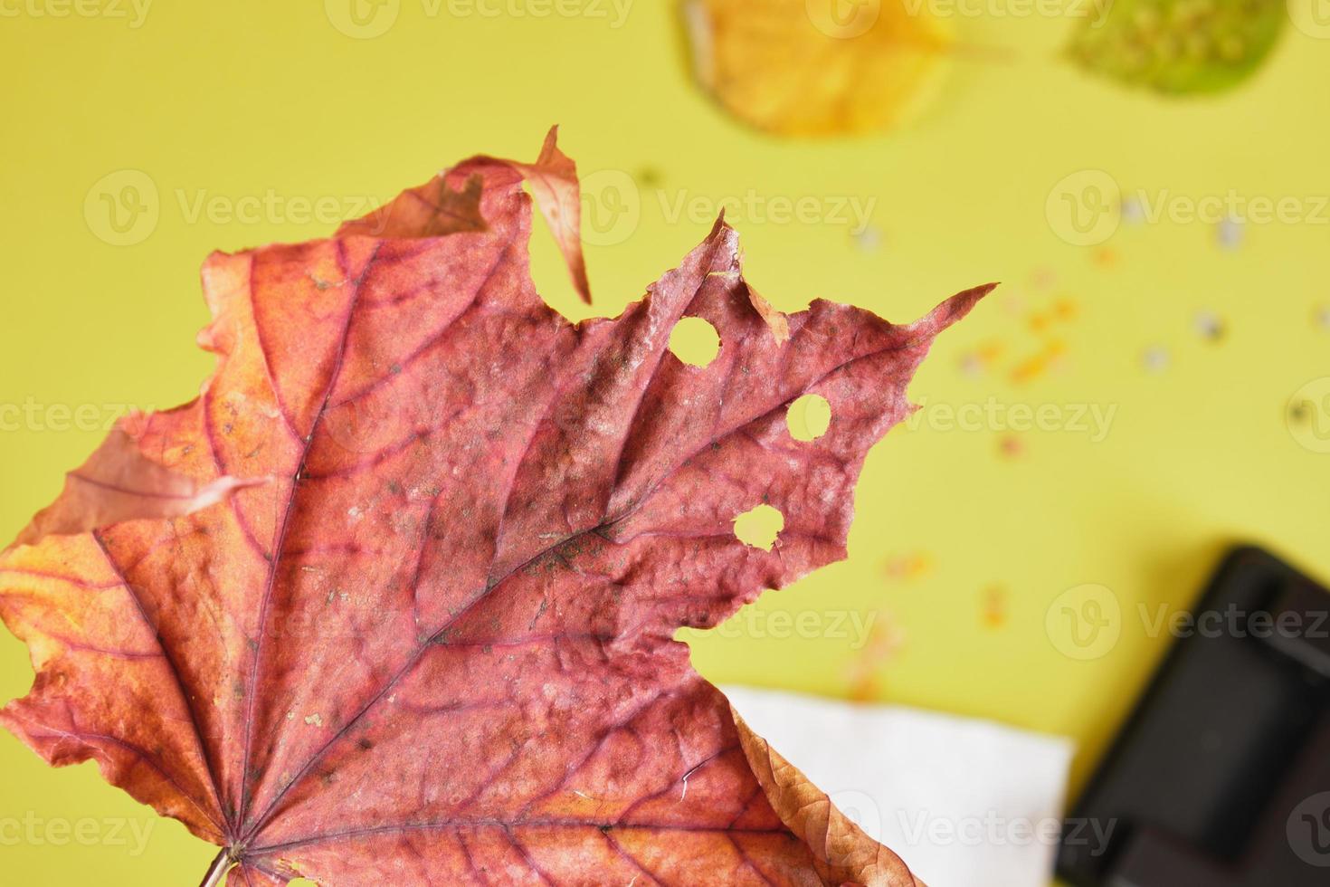 hojas de otoño con agujeros redondos de un perforador y confeti para las vacaciones, confeti ecológico sin desperdicio foto