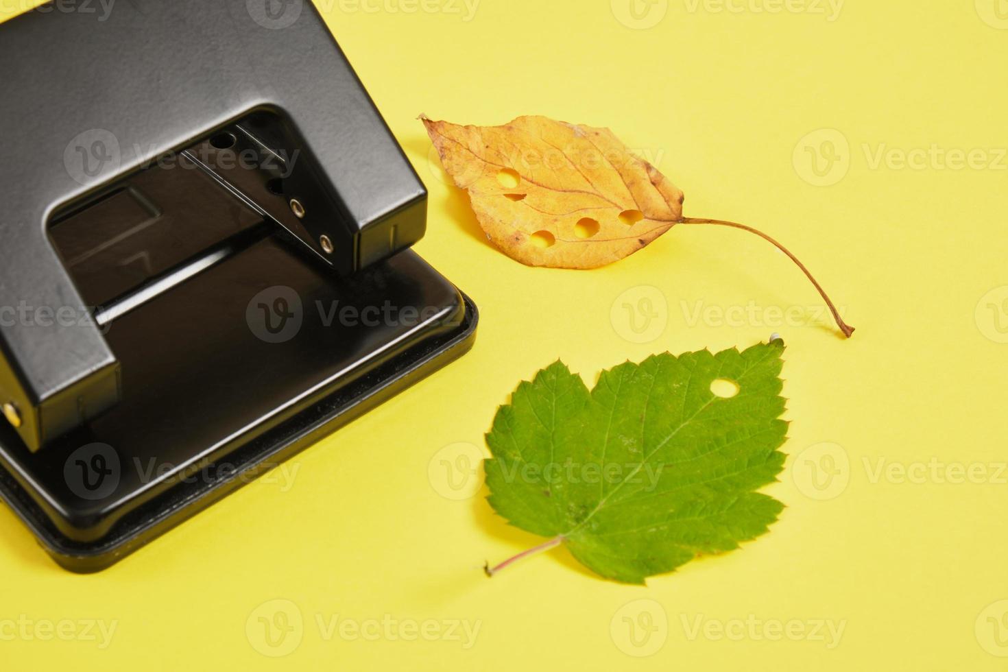 hole punch and autumn leaves on a yellow background, eco confetti from natural materials photo