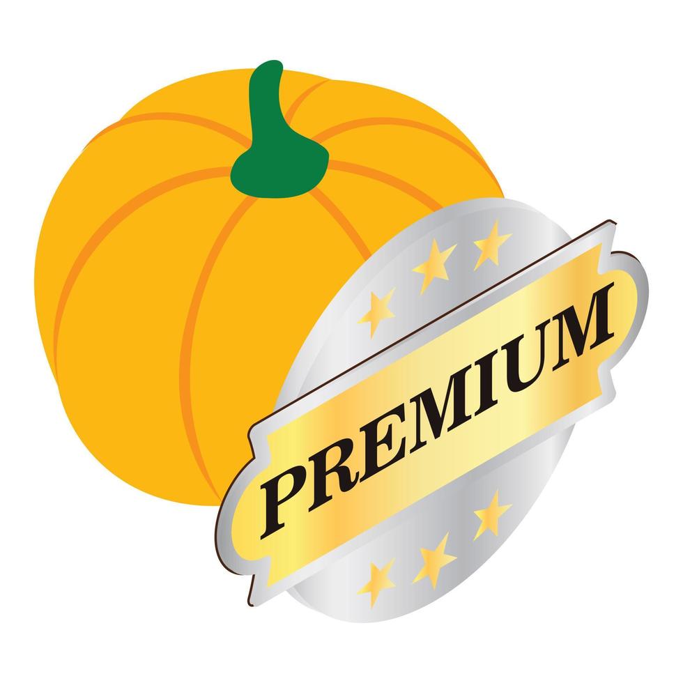 Autumn harvest icon isometric vector. Bright ripe round pumpkin and premium sign vector