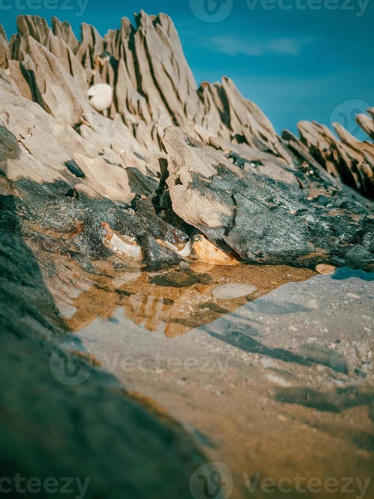 puddle of water in a log on the beach photo