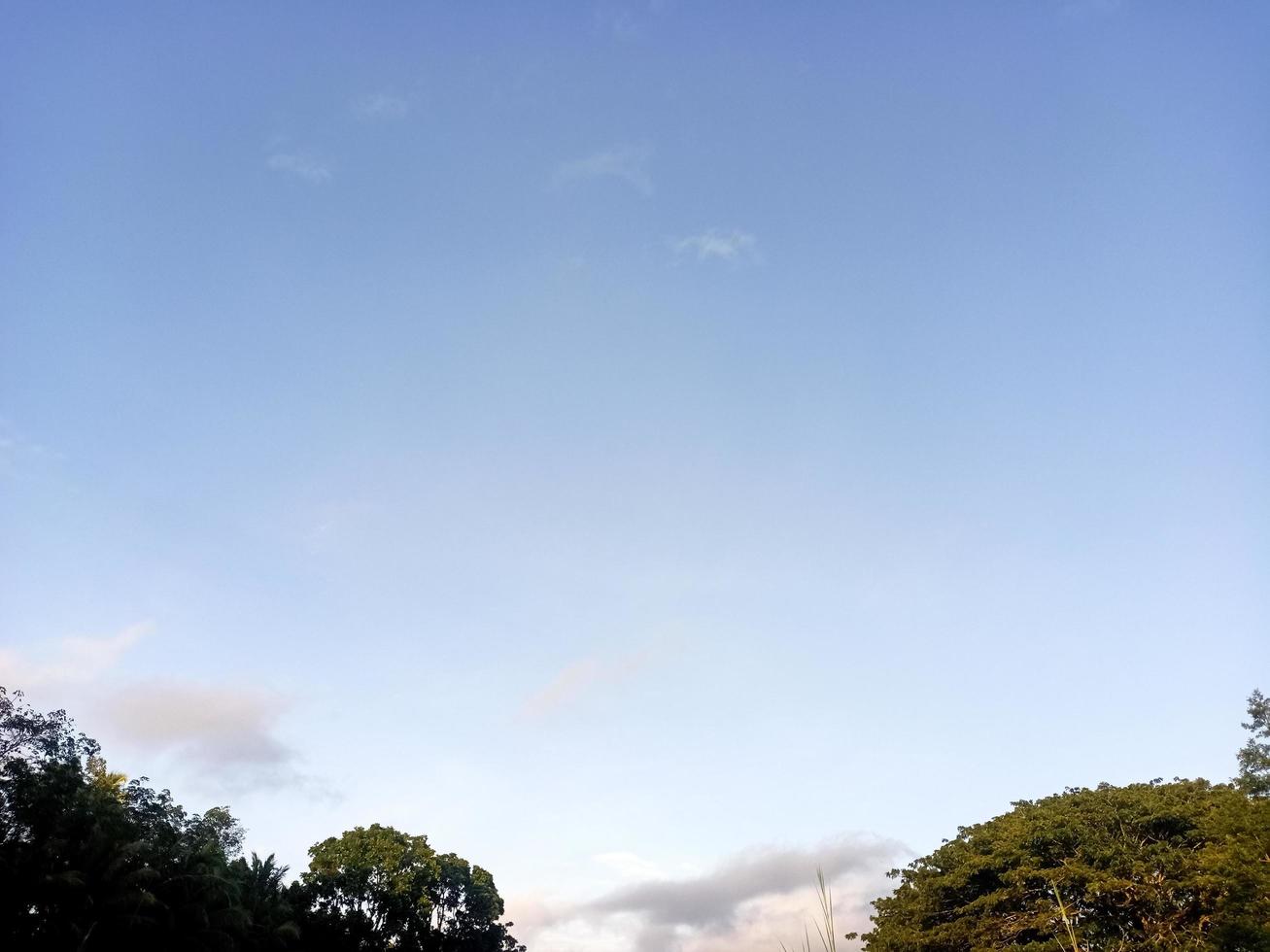 hermosa vista cielo azul claro y muchos árboles verdes naturales foto