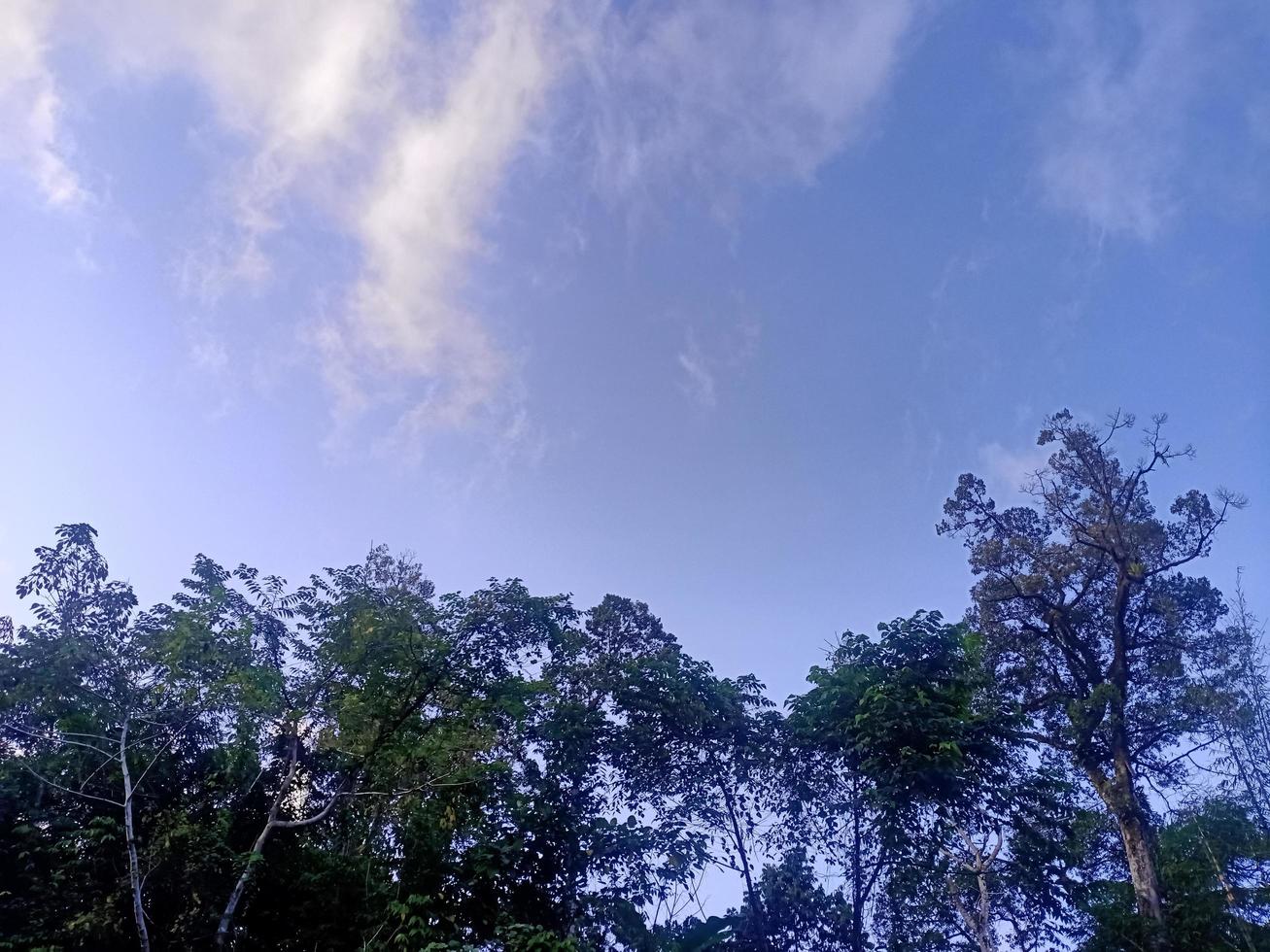 hermosa vista cielo azul claro y mucha naturaleza foto