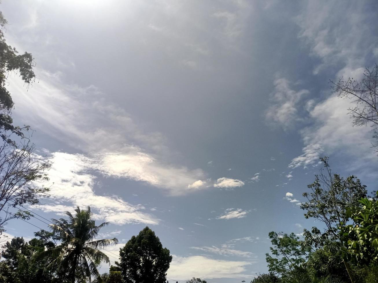beautiful view clear blue sky and lots of natural green trees photo