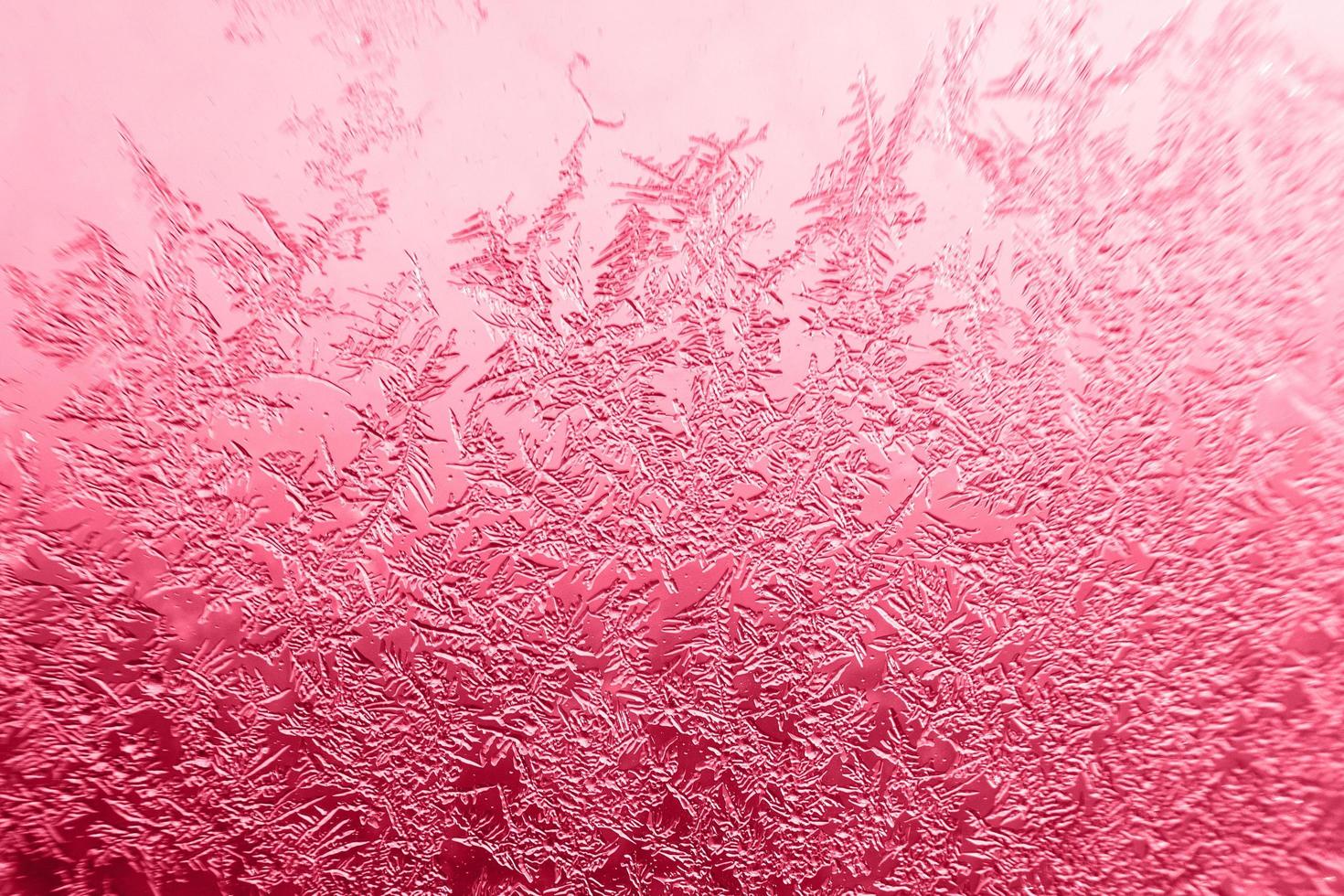 snow pattern on the glass from frost. viva magenta color of the year photo