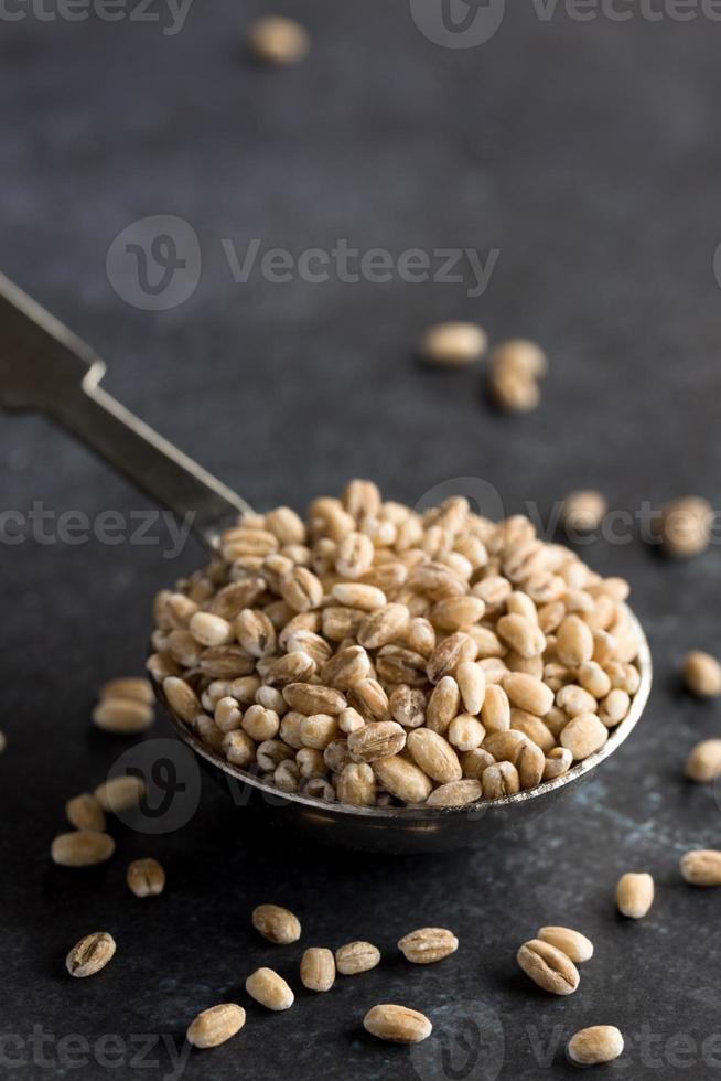 Uncooked Pearled Barley on a Spoon photo