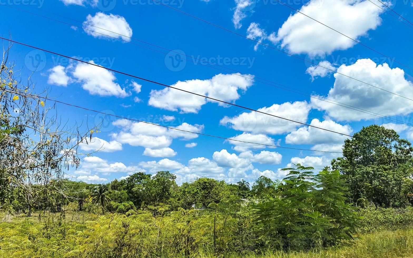 bosque de selva tropical con camino a través del pueblo kantunilkin mexico. foto