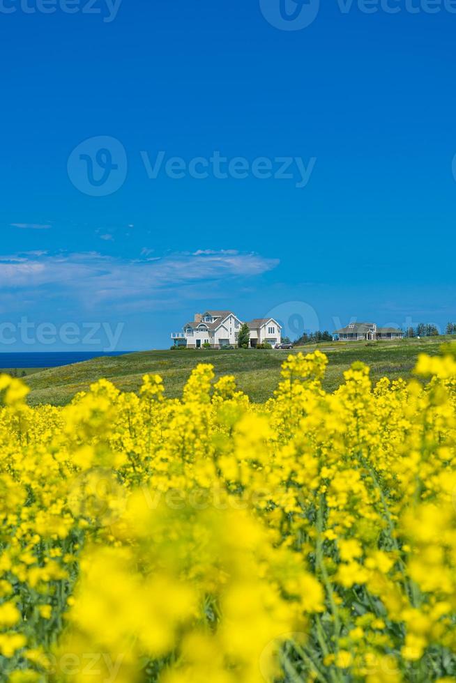 una vista serena de una casa con océano y granja rodeada en la isla del príncipe eduardo, canadá foto