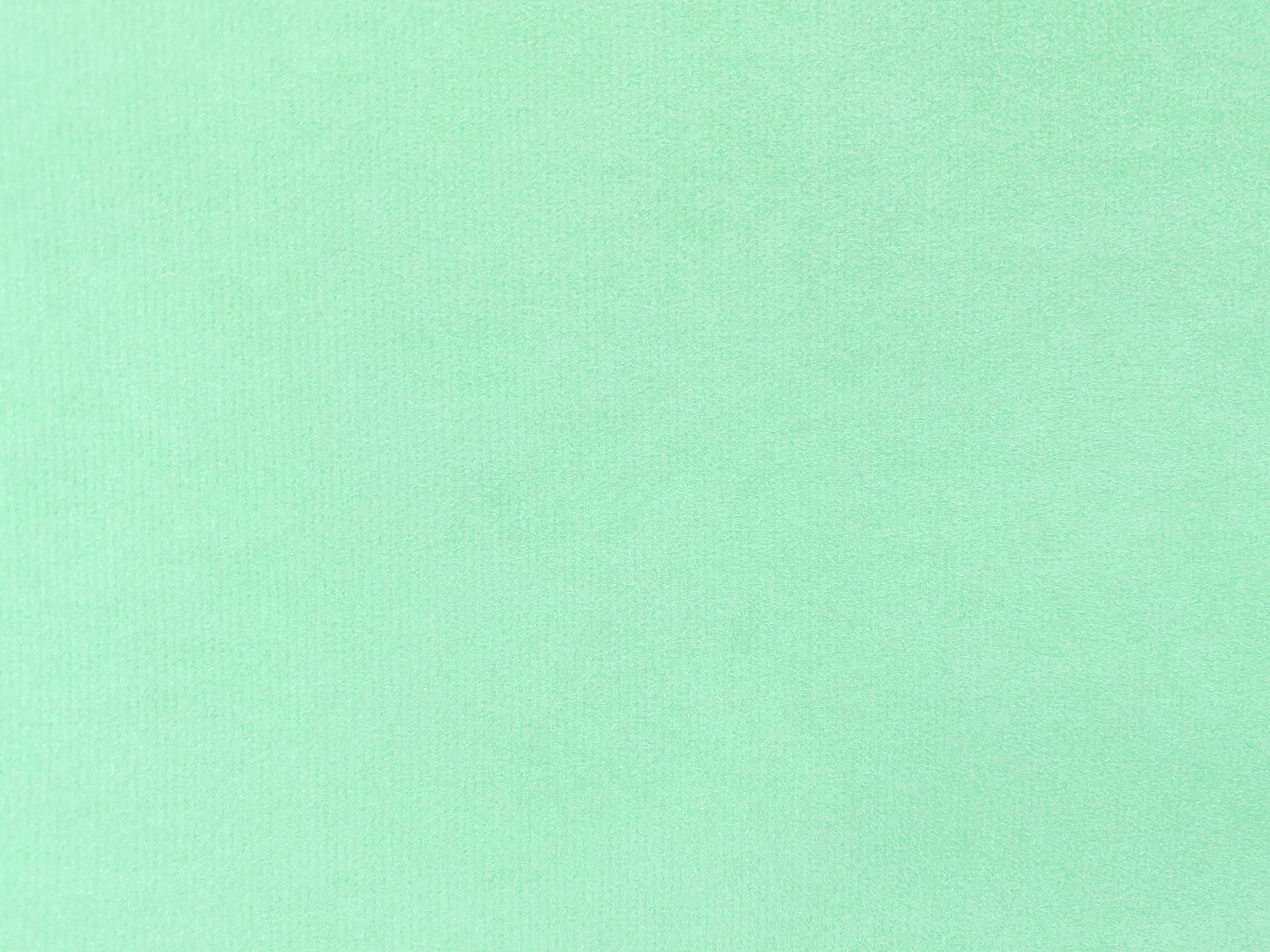 mint green velvet fabric texture used as background. Empty light orange