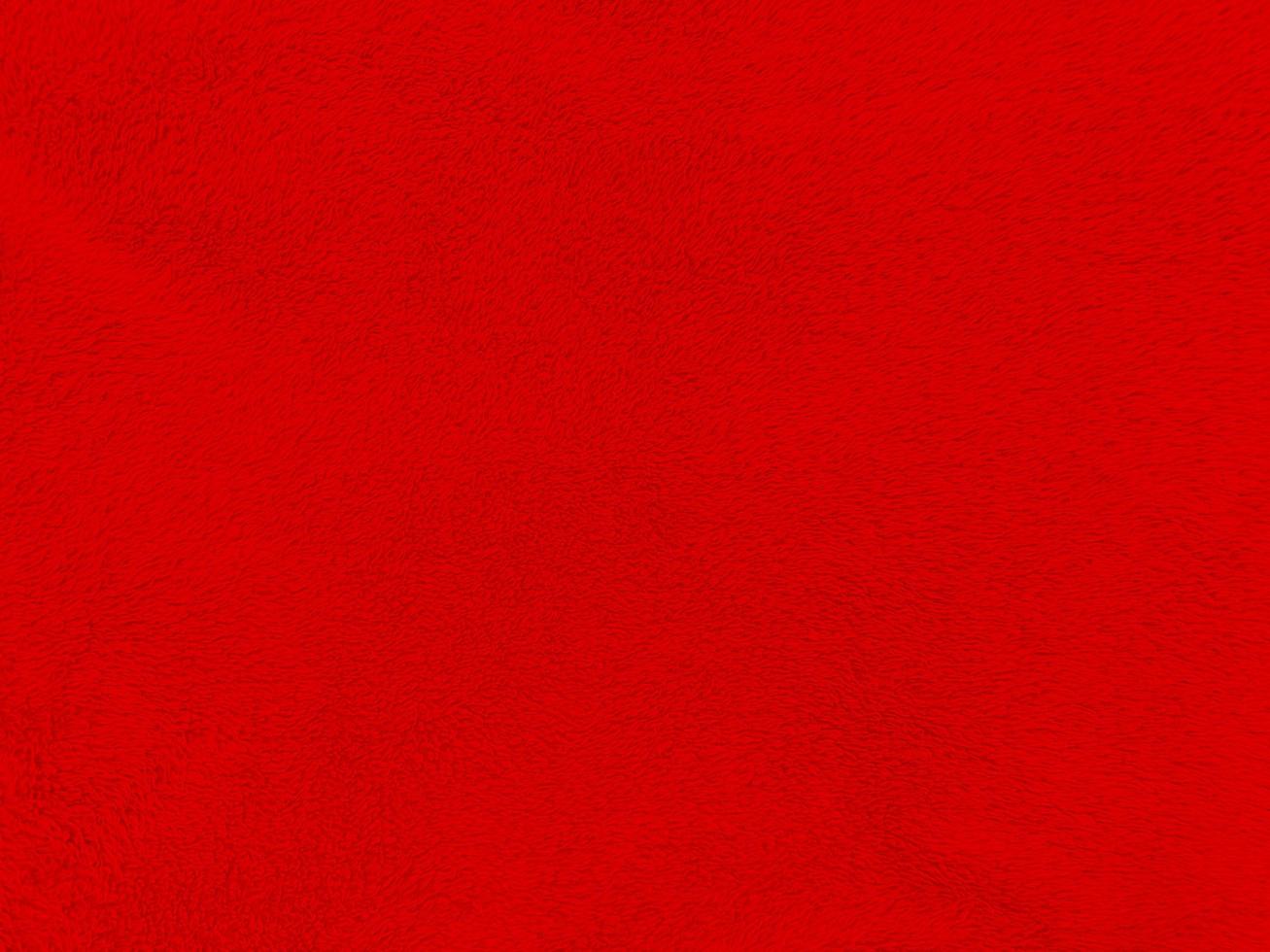 fondo de textura de lana limpia roja. lana de oveja natural ligera. algodón rojo sin costuras. textura de piel esponjosa para diseñadores el día de navidad. primer fragmento alfombra de lana roja.. foto