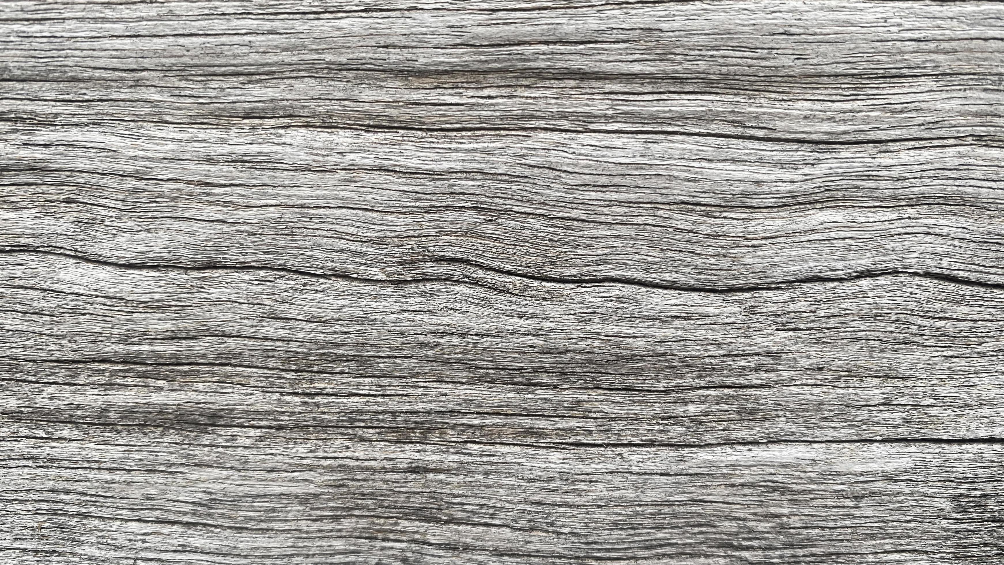 Old wood texture crack, graywhite tone. Use this for wallpaper or