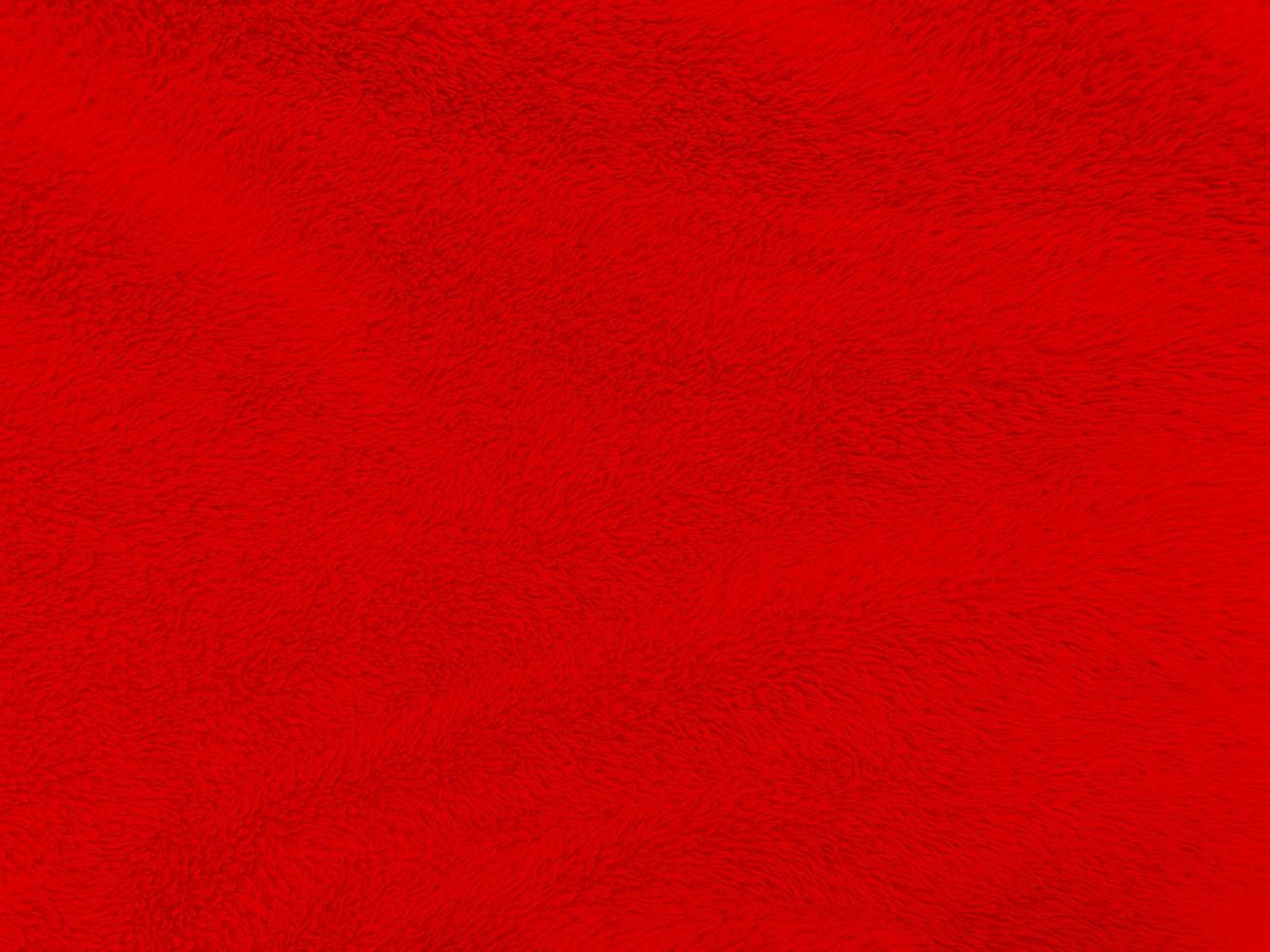 Red clean wool texture background. light natural sheep wool. red seamless cotton. texture of fluffy fur for designers christmas day. close-up fragment red wool carpet.. photo