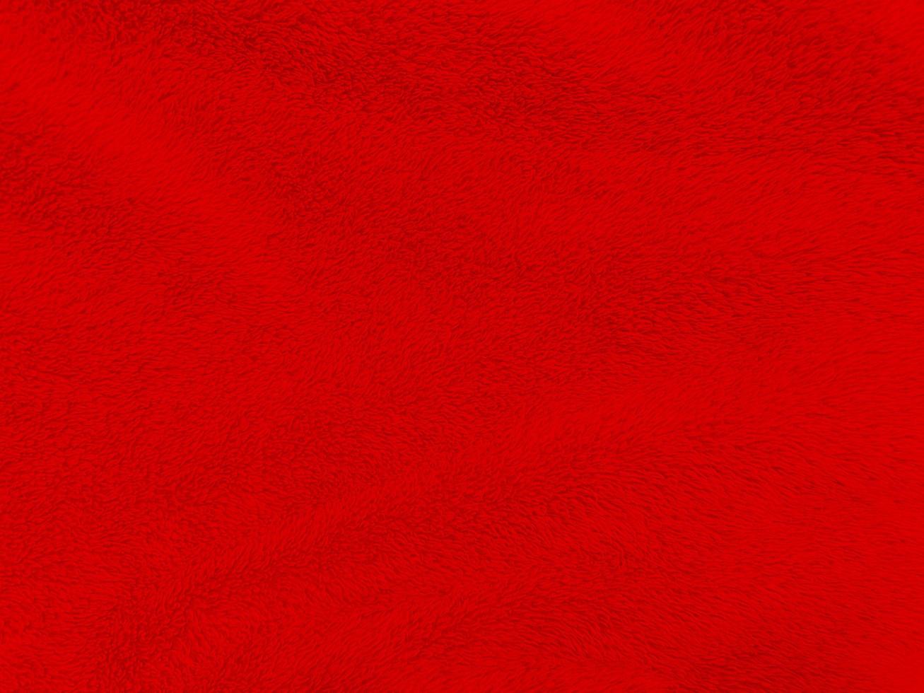 fondo de textura de lana limpia roja. lana de oveja natural ligera. algodón rojo sin costuras. textura de piel esponjosa para diseñadores el día de navidad. primer fragmento alfombra de lana roja.. foto