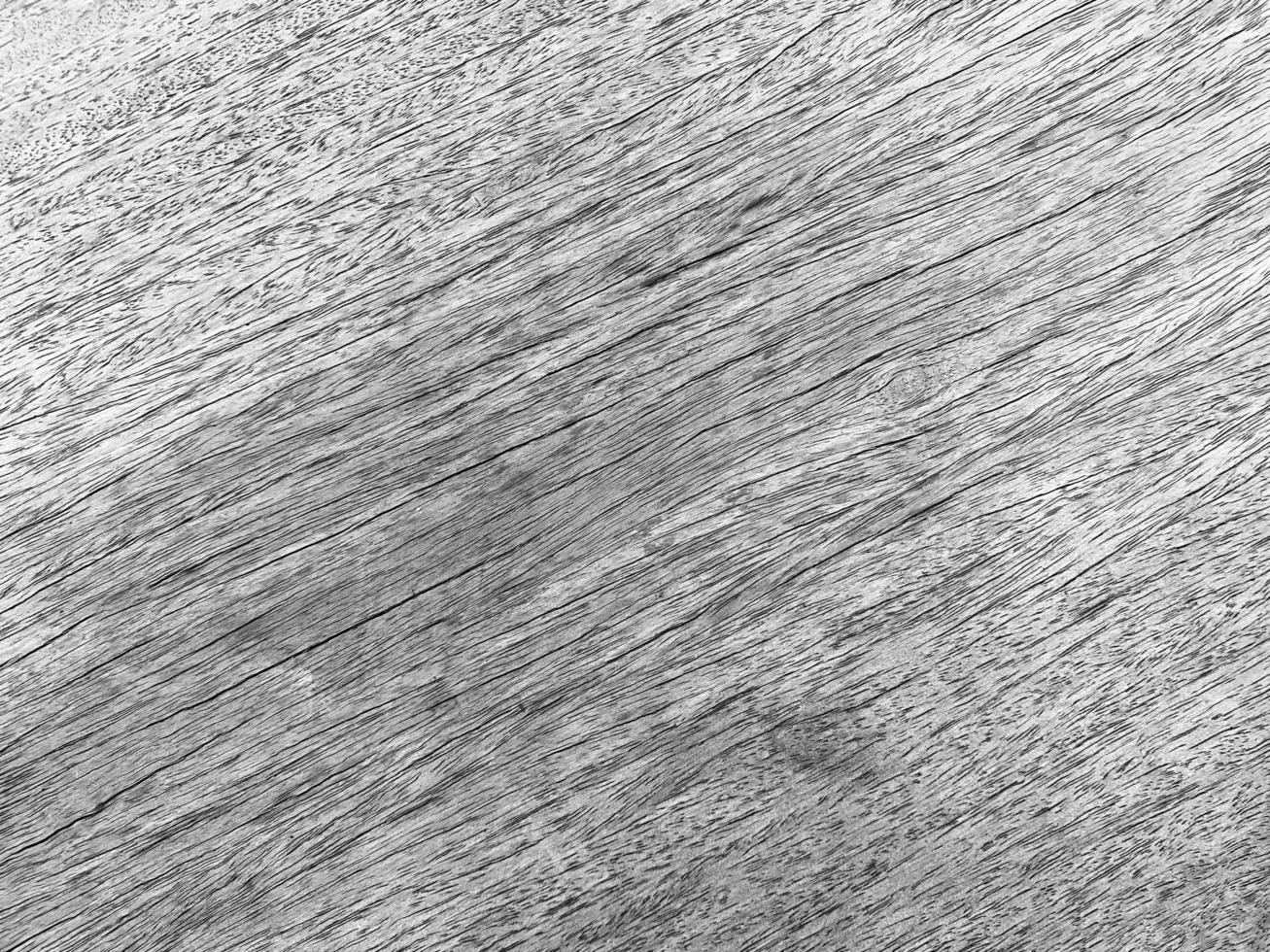 Old wood texture background crack, gray-white tone. Use this for wallpaper or background image. There is a blank space for text. photo