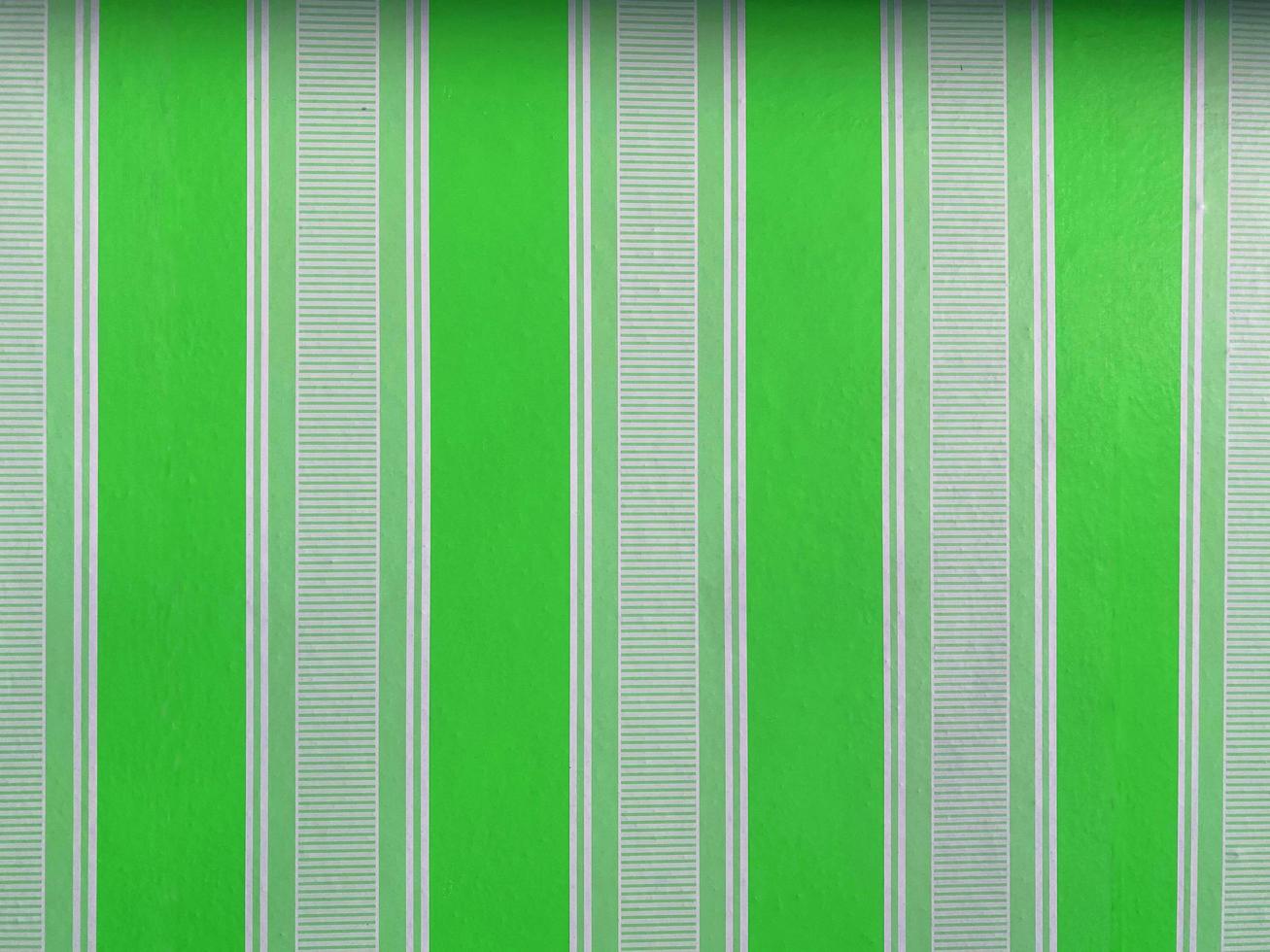 Abstract background green color on isolated. Abstract white and green pattern textured. White line background concept. There is space for text. photo