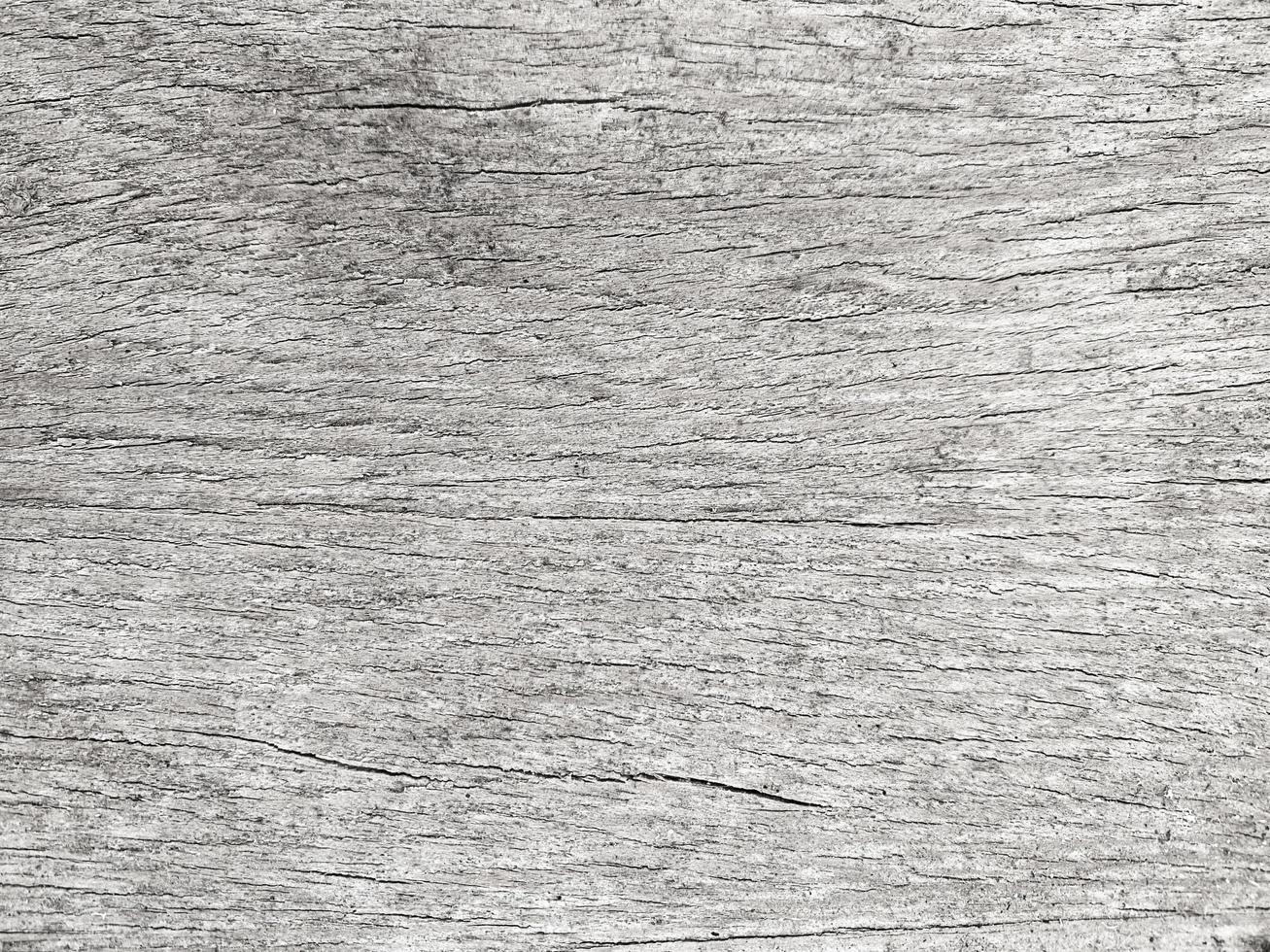 Old wood texture crack, gray-white tone. Use this for wallpaper or background image. There is a blank space for text. photo