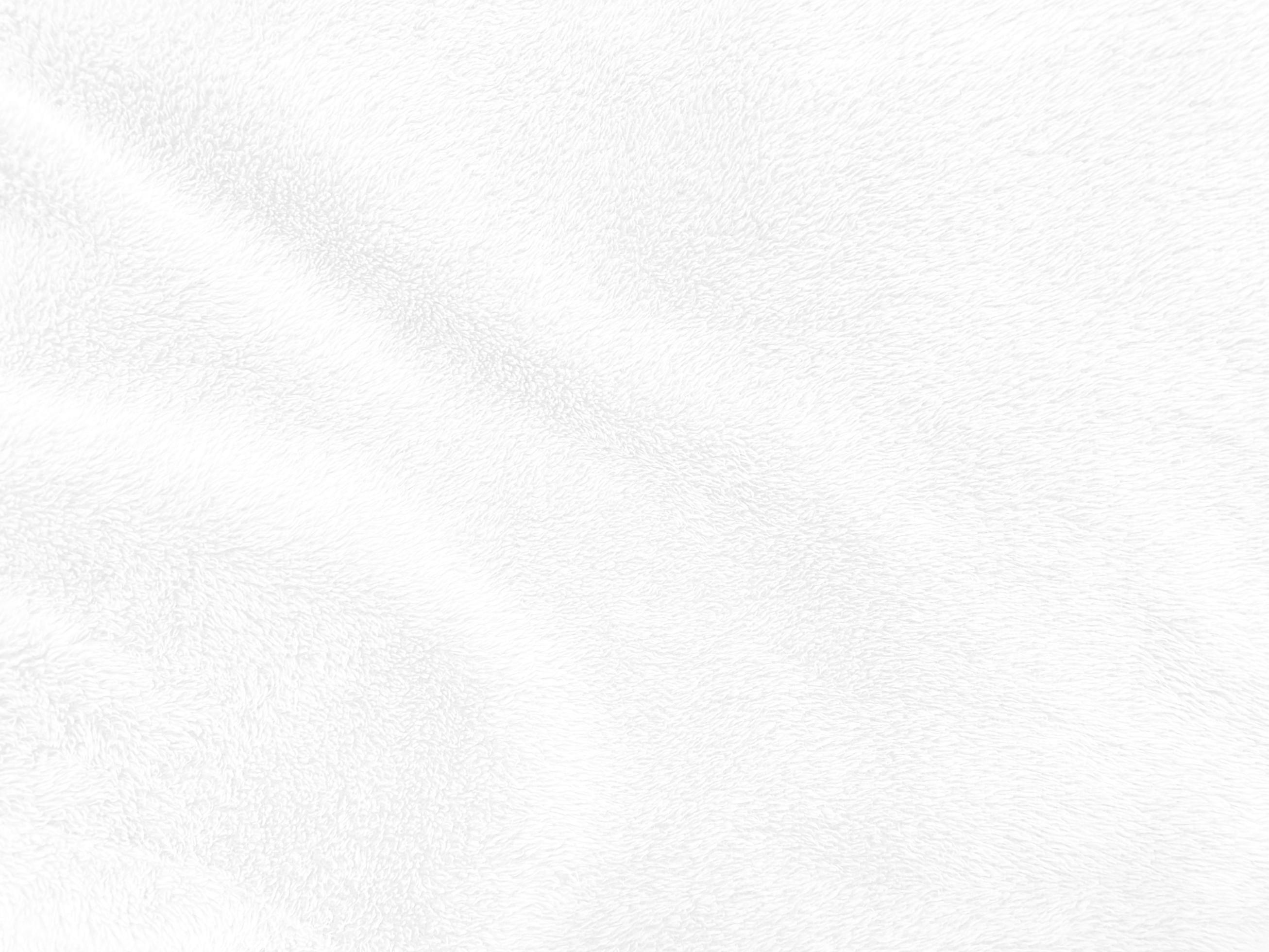 White clean wool texture background. light natural sheep wool. white
