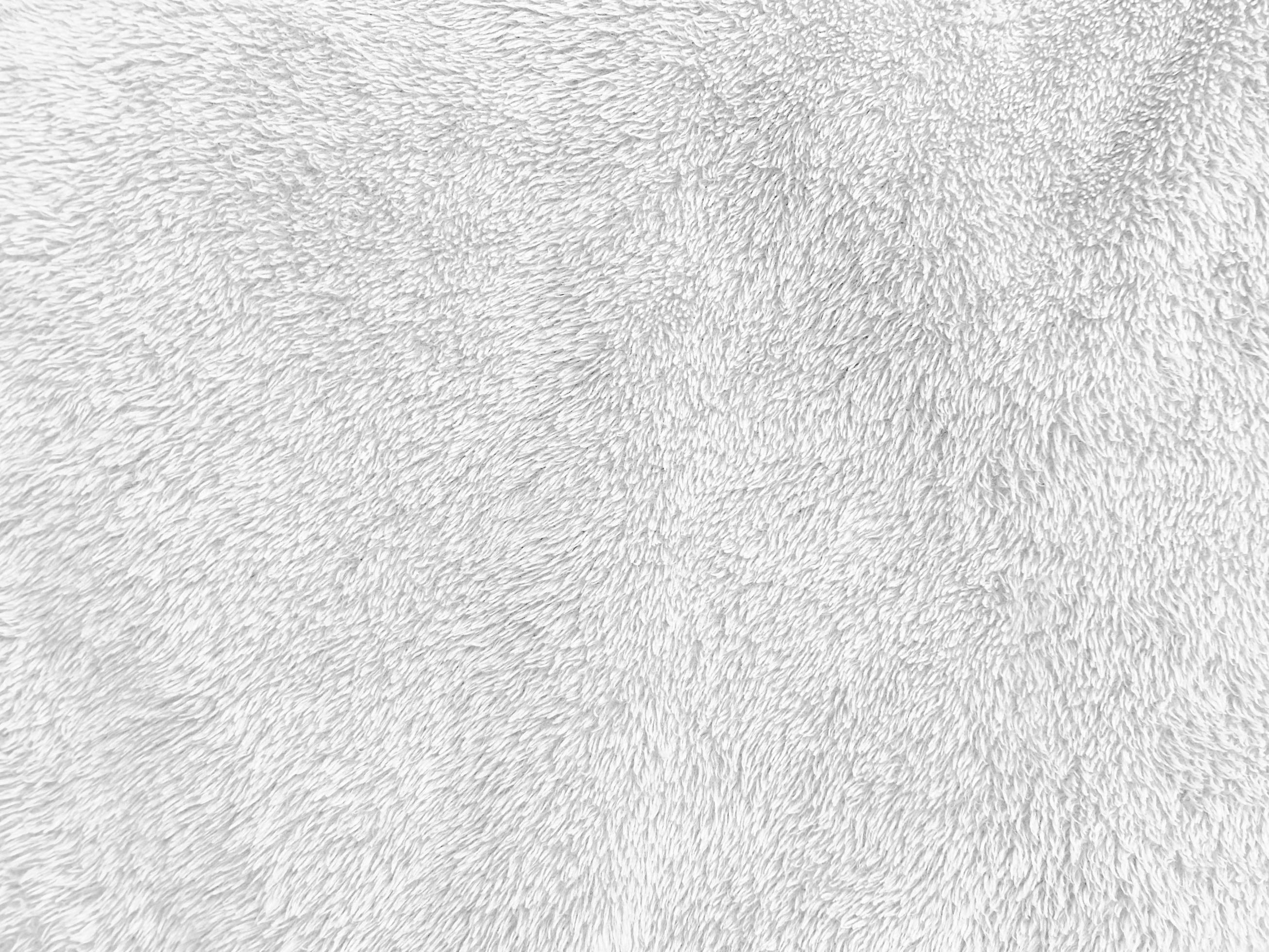 White clean wool texture background. light natural sheep wool