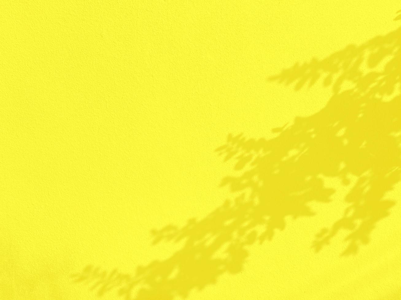 Seamless texture of yellow cement wall a rough surface and leaf shadow, with space for text, for a background.. photo