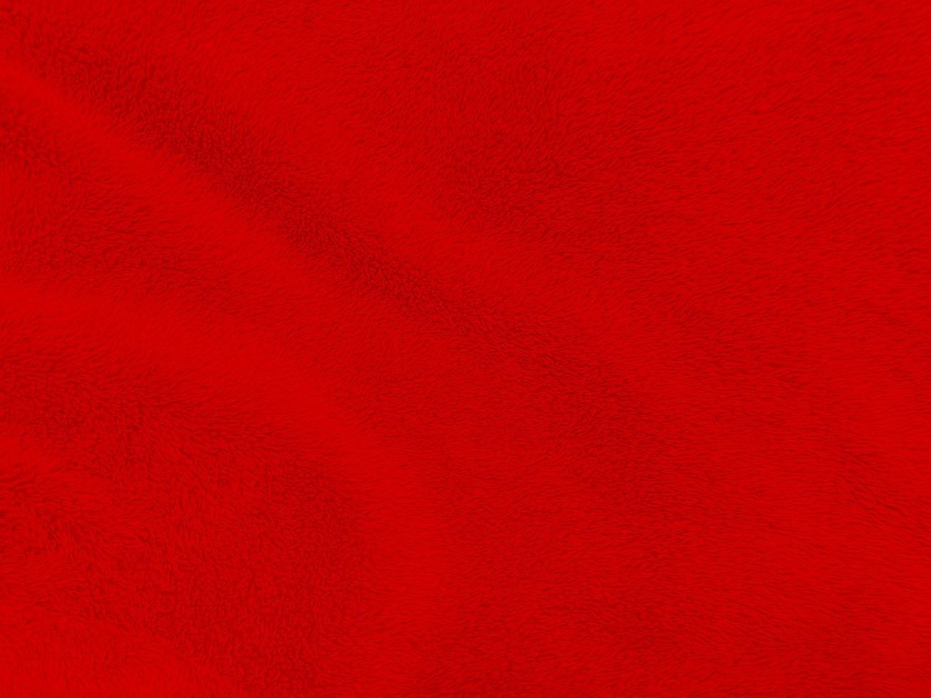 fondo de textura de lana limpia roja. lana de oveja natural ligera. algodón rojo sin costuras. textura de piel esponjosa para diseñadores el día de navidad. primer fragmento alfombra de lana roja.. foto