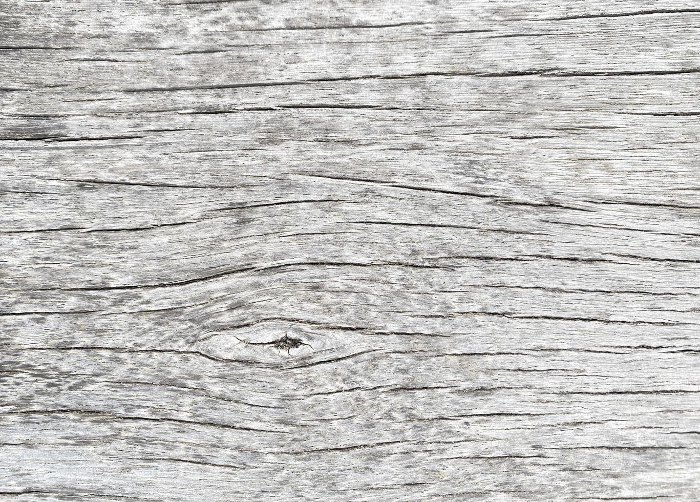 Old wood texture crack, gray-white tone. Use this for wallpaper or background image. There is a blank space for text. photo