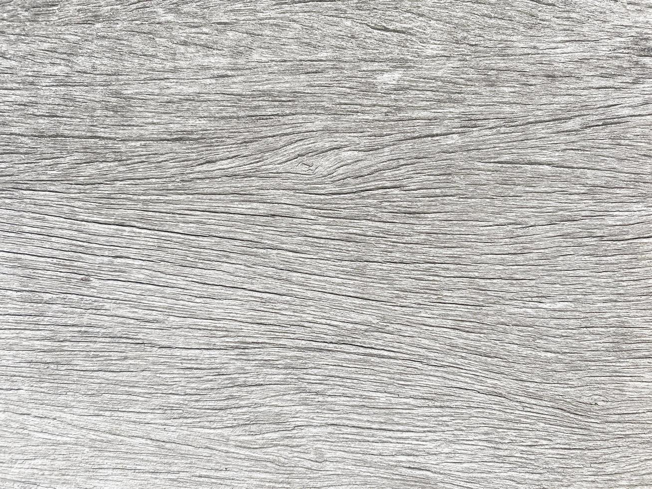 Old wood texture crack, gray-white tone. Use this for wallpaper or background image. There is a blank space for text. photo