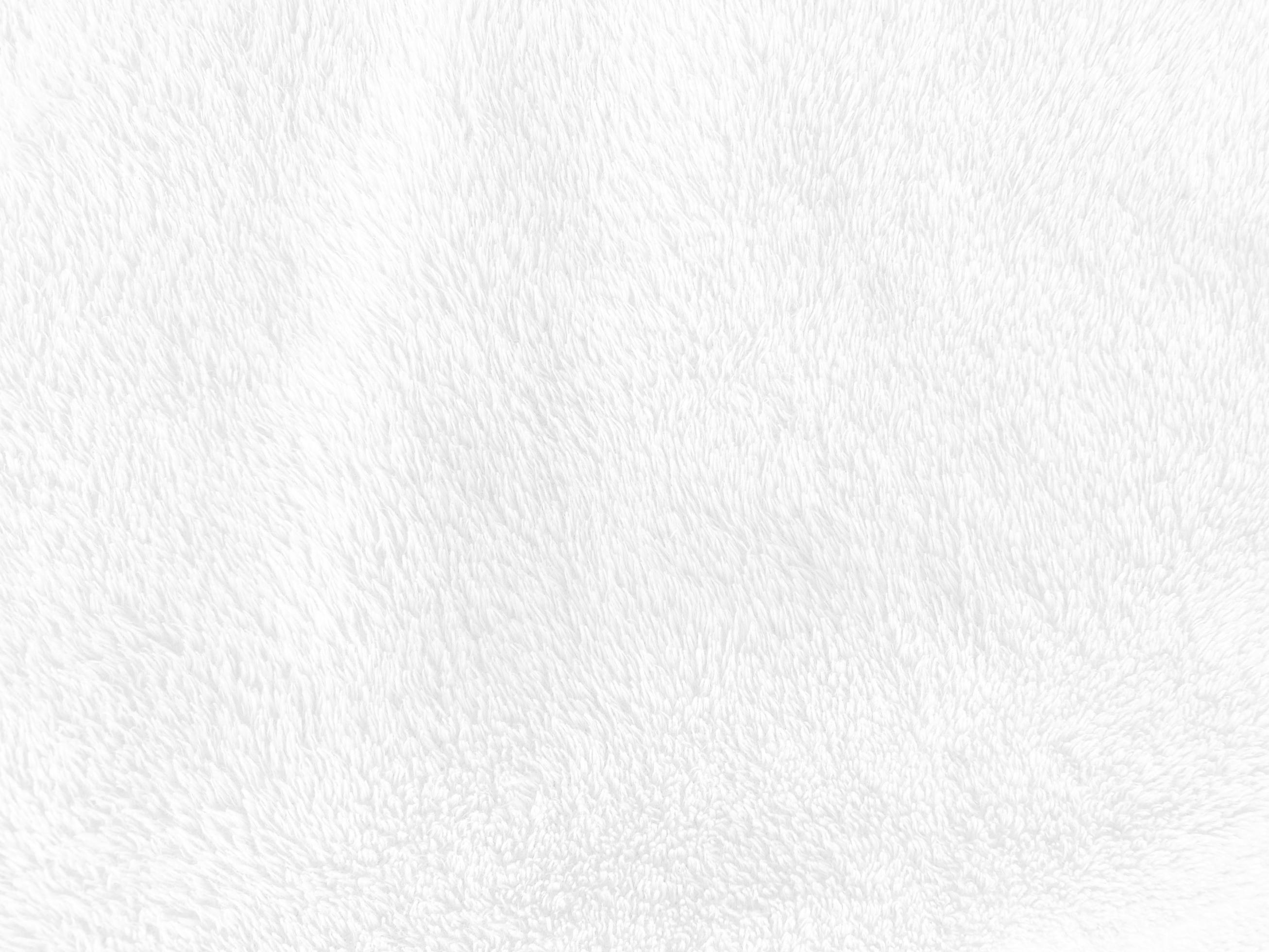 White clean wool texture background. light natural sheep wool. white