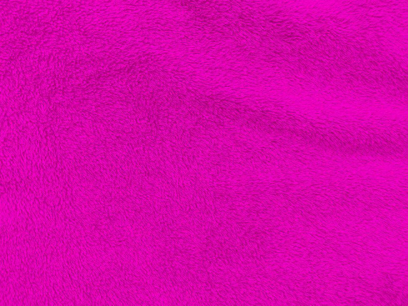 Pink clean wool texture background. light natural sheep wool. Pink seamless cotton. texture of fluffy fur for designers. close-up fragment white wool carpet.for valentine photo