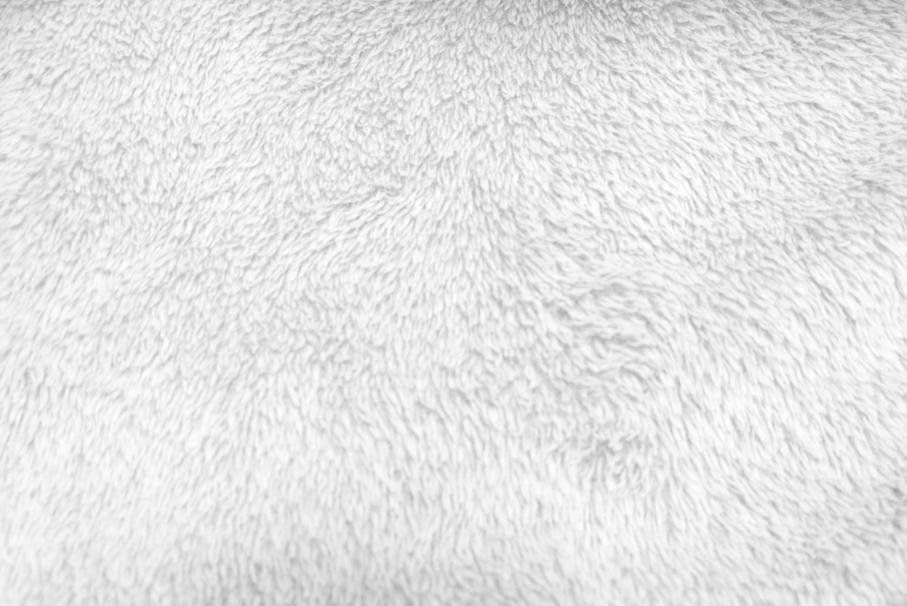 White clean wool texture background. light natural sheep wool. white