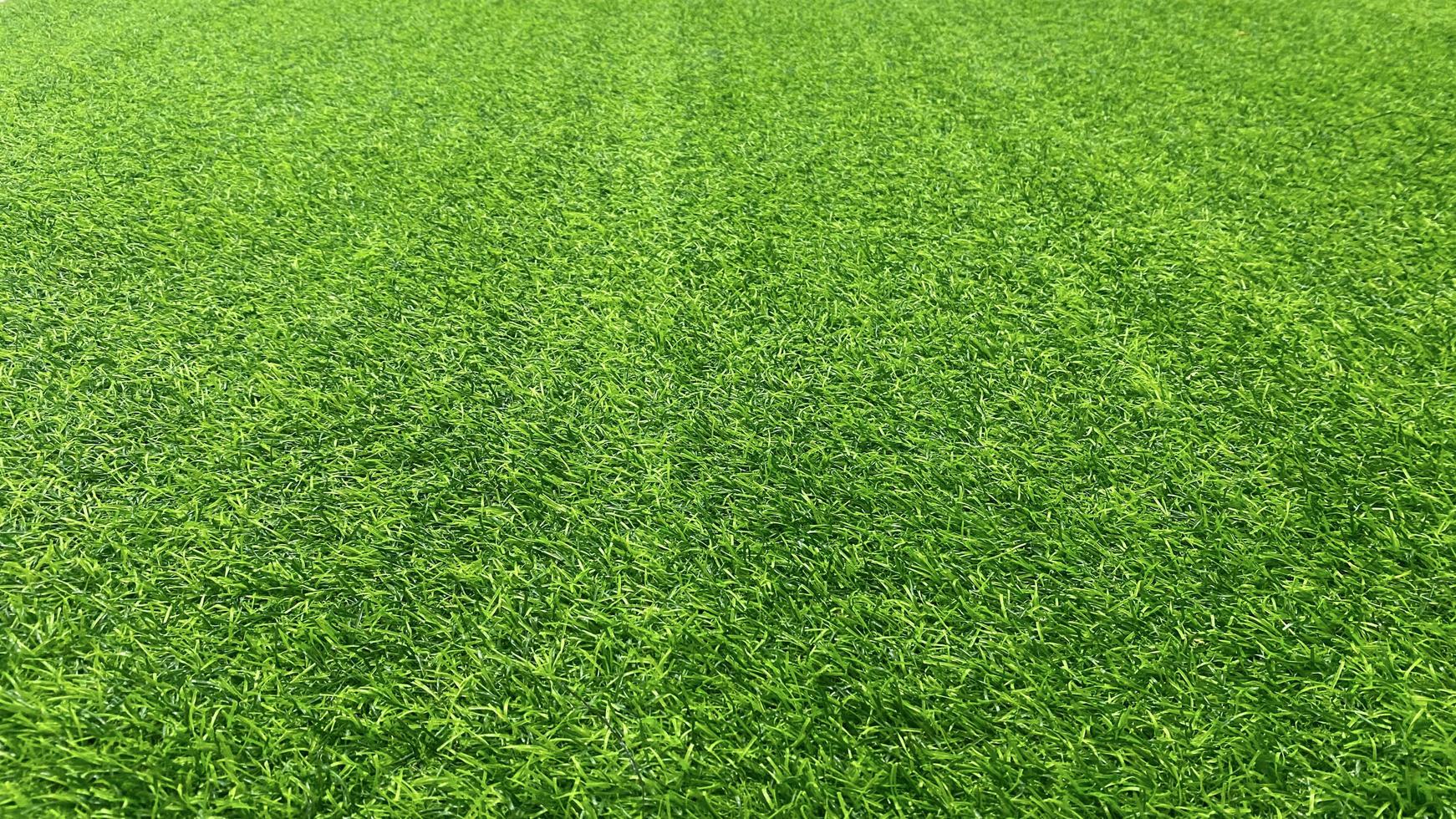 Green grass texture background grass garden  concept used for making green background football pitch, Grass Golf,  green lawn pattern textured background.Wide angle. photo