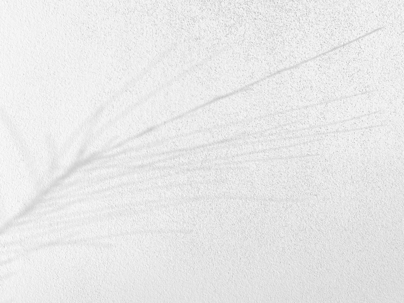 Seamless texture of white cement wall a rough surface, with space for text, for a background.. photo