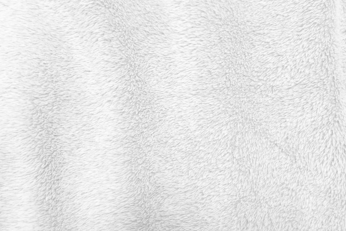 White clean wool  texture background. light natural sheep wool. white seamless cotton. texture of fluffy fur for designers. close-up fragment white wool carpet. photo