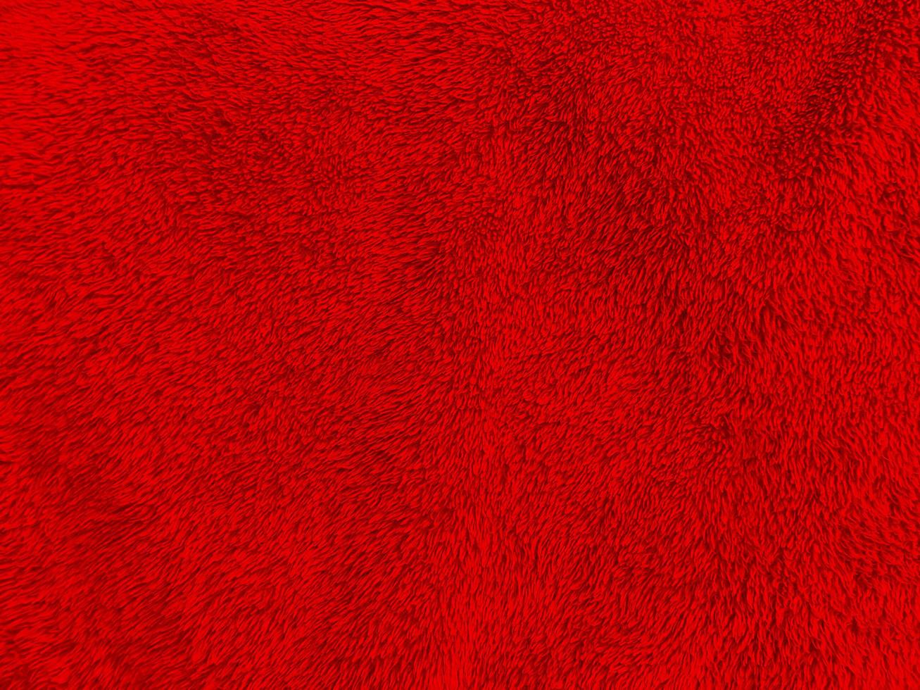 fondo de textura de lana limpia roja. lana de oveja natural ligera. algodón rojo sin costuras. textura de piel esponjosa para diseñadores. fragmento de primer plano alfombra de lana roja. foto