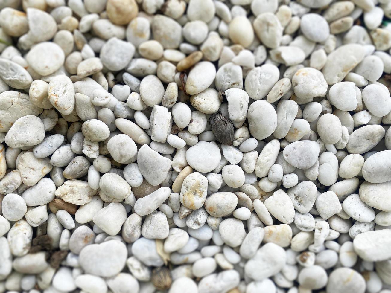 textura de piedra de guijarros blancos ásperos, fondo borroso tono gris-blanco. use esto para fondo de pantalla o imagen de fondo. hay un espacio en blanco para el texto. foto