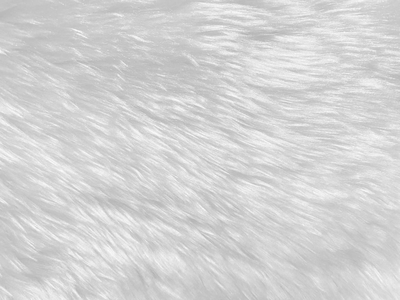 White clean wool texture background. light natural sheep wool. white