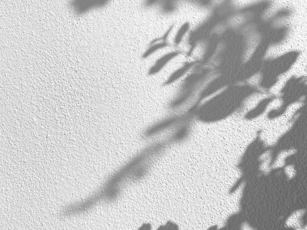 Seamless texture of white cement wall a rough surface and leaf shadow, with space for text, for a background.. photo