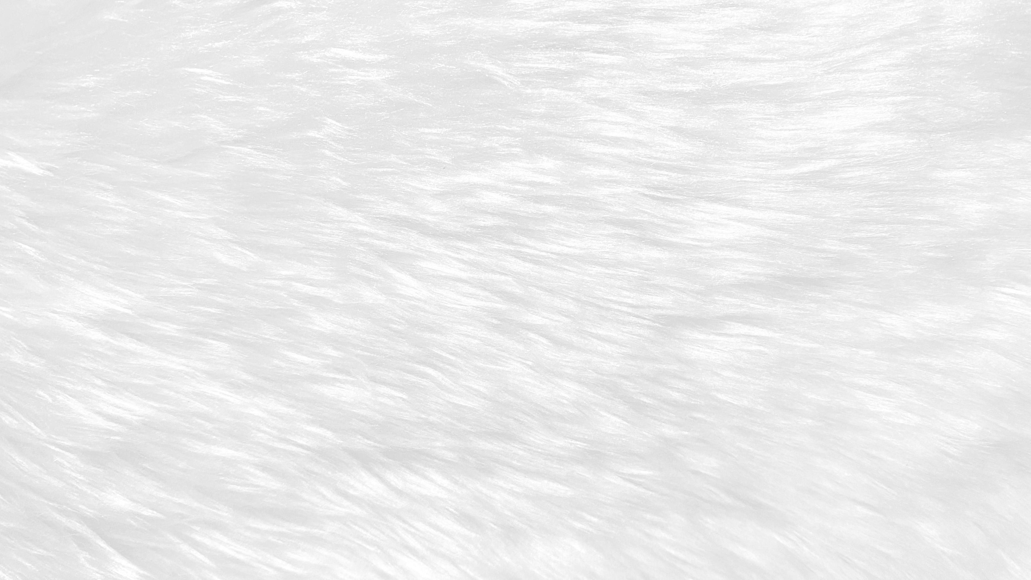 White clean wool texture background. light natural sheep wool. white