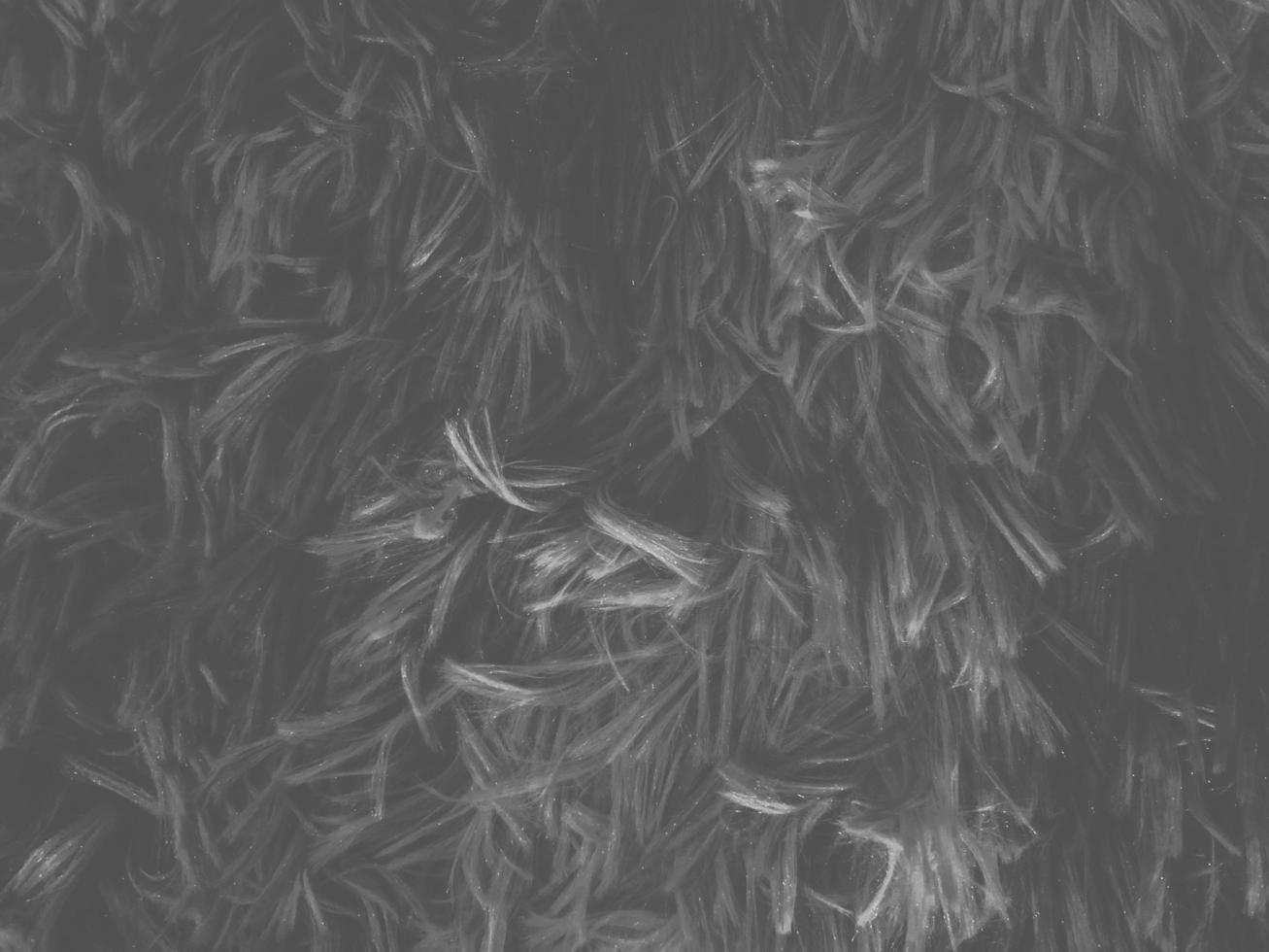 Black clean wool texture background. light natural sheep wool. white seamless cotton. texture of fluffy fur for designers. close-up fragment white wool carpet. photo