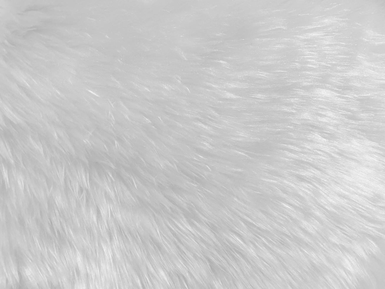 White Fur Stock Photos, Images and Backgrounds for Free Download