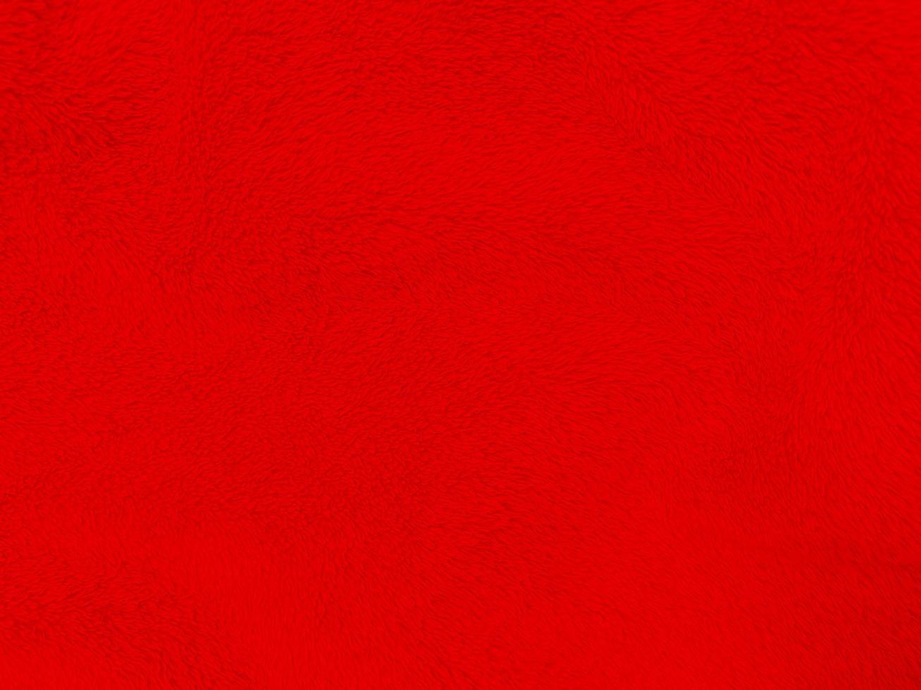 fondo de textura de lana limpia roja. lana de oveja natural ligera. algodón rojo sin costuras. textura de piel esponjosa para diseñadores el día de navidad. primer fragmento alfombra de lana roja.. foto