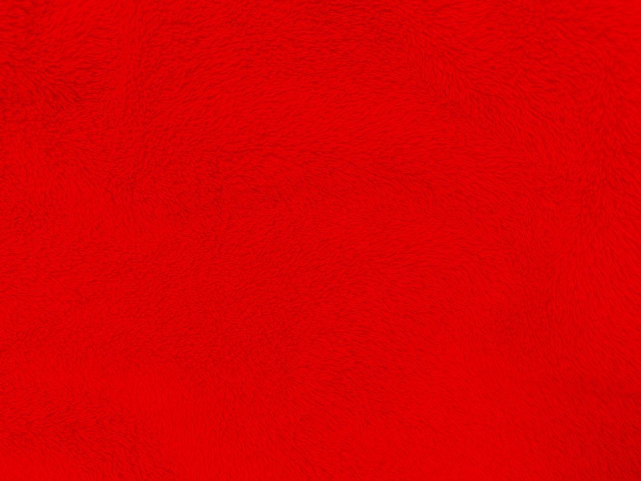 Red clean wool texture background. light natural sheep wool. red seamless cotton. texture of fluffy fur for designers christmas day. close-up fragment red wool carpet.. photo