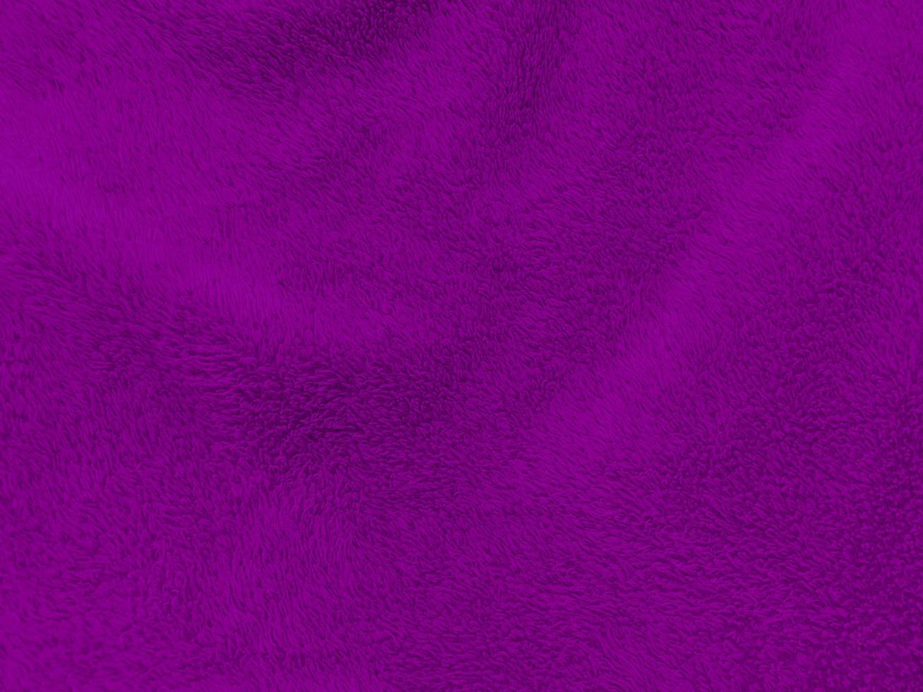 fondo de textura de lana limpia púrpura. lana de oveja natural ligera. algodón morado sin costuras. textura de piel esponjosa para diseñadores. fragmento de primer plano alfombra de lana morada. foto