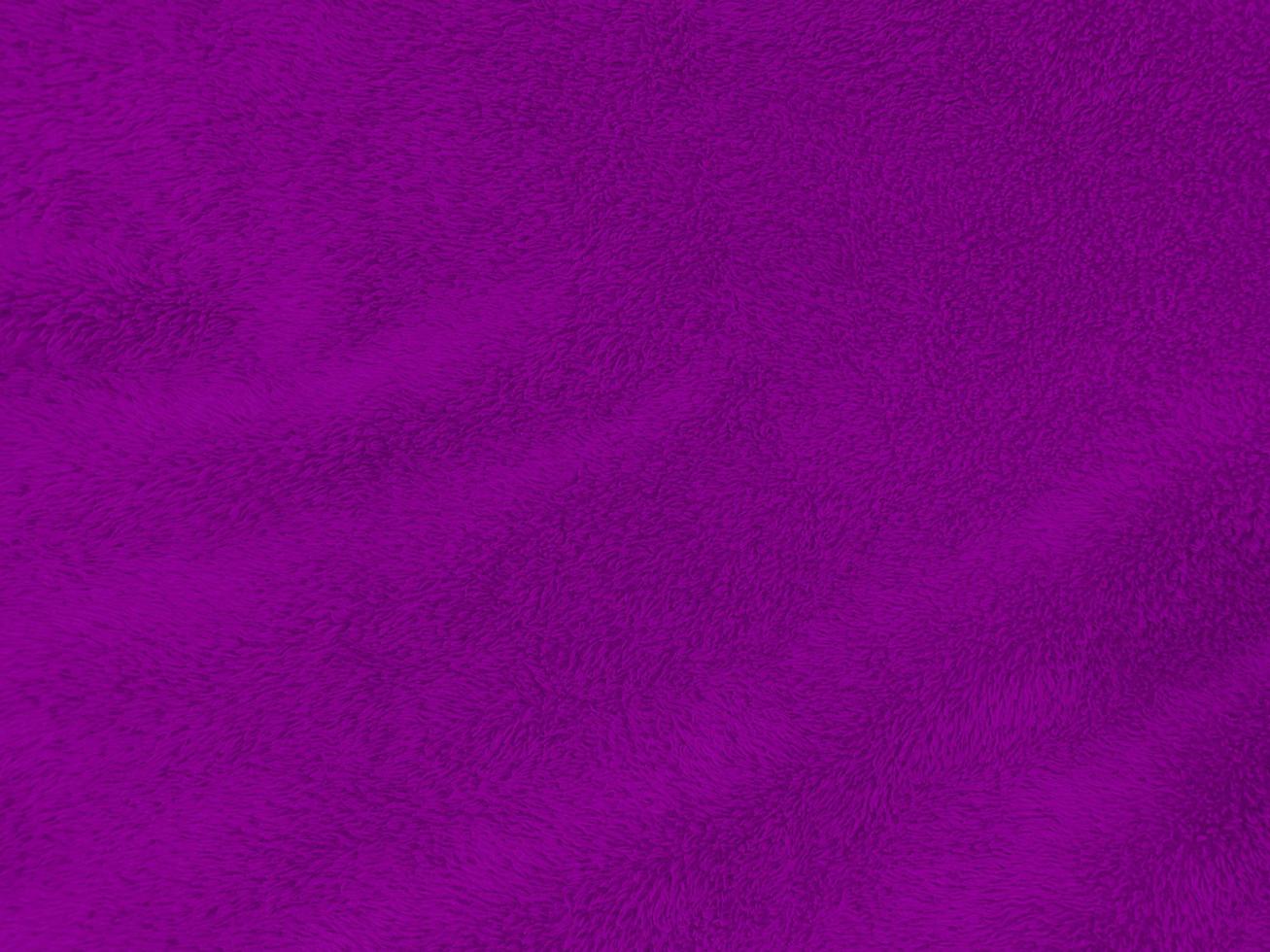 Purple clean wool texture background. light natural sheep wool. purple seamless cotton. texture of fluffy fur for designers. close-up fragment purple wool carpet. photo