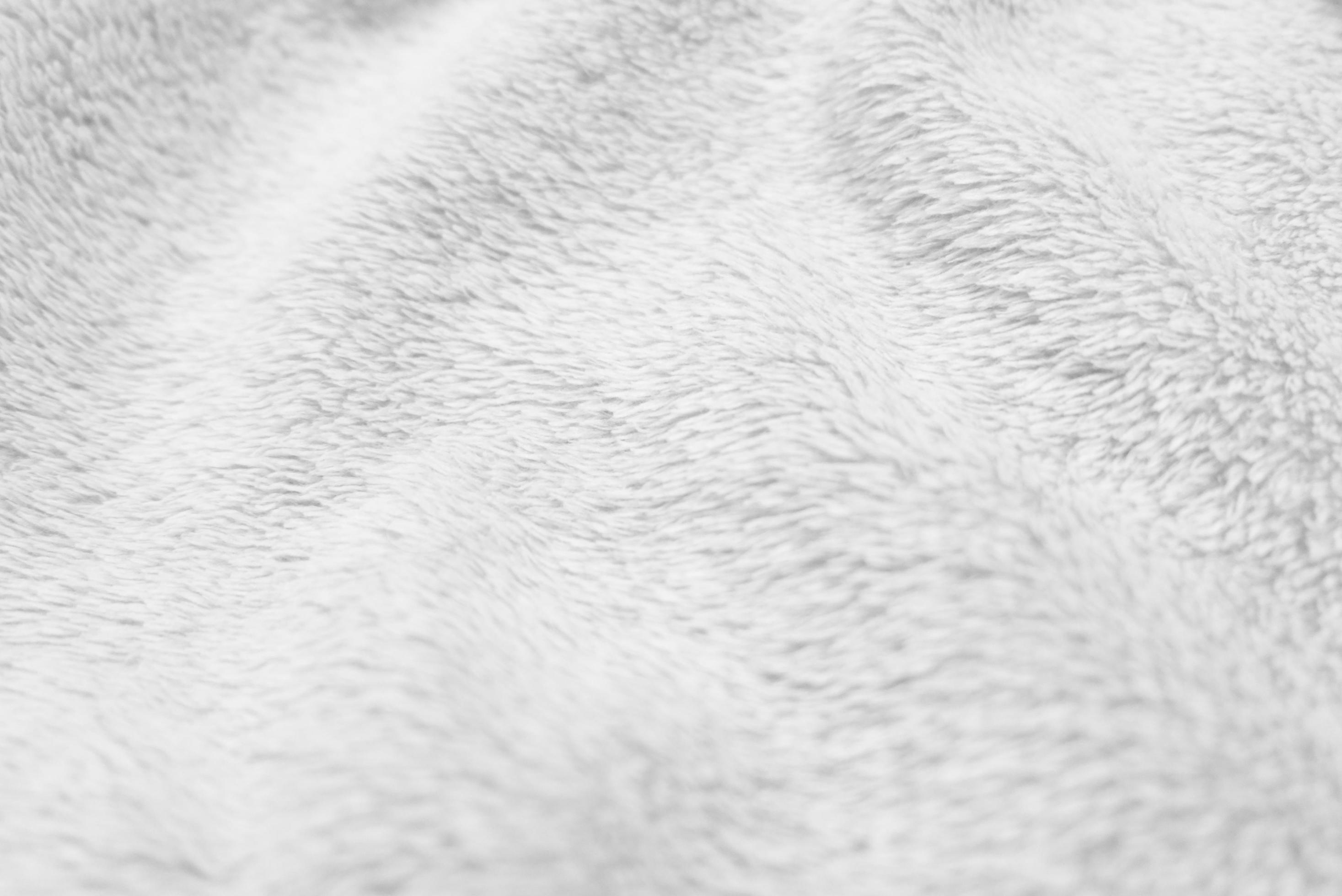 White clean wool texture background. light natural sheep wool. white