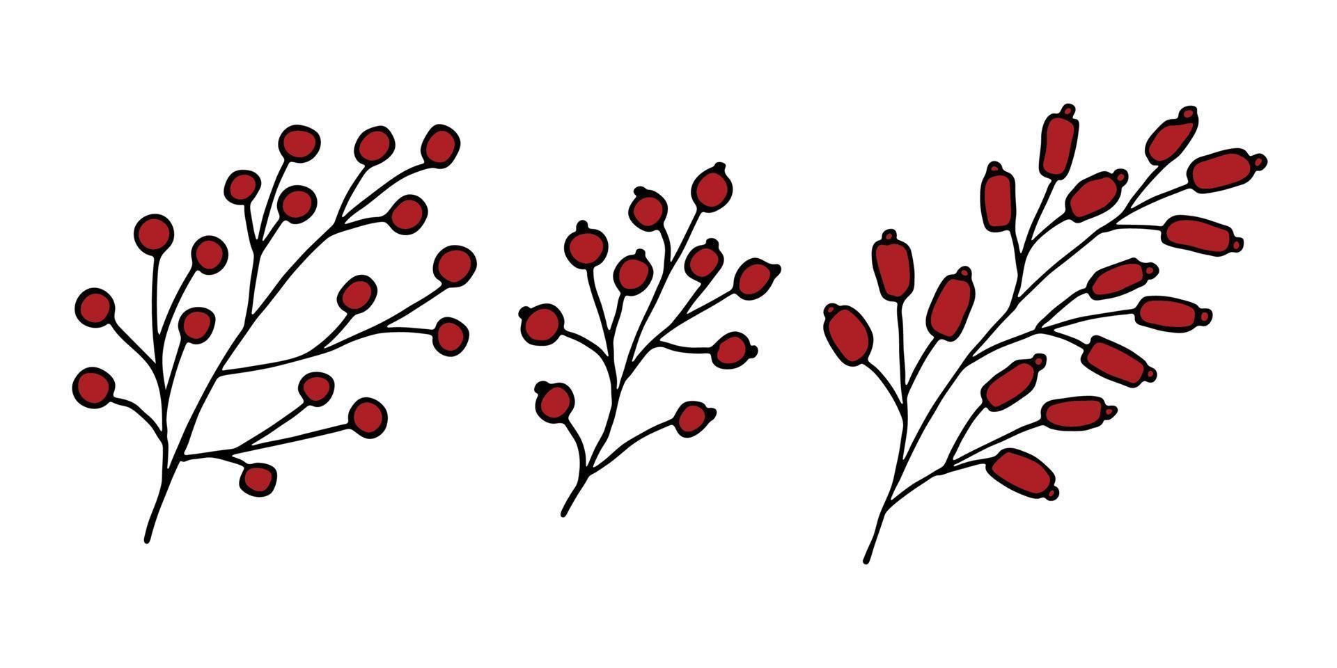 Hand drawn branch with berries clipart. Christmas doodle set. Winter design elements vector
