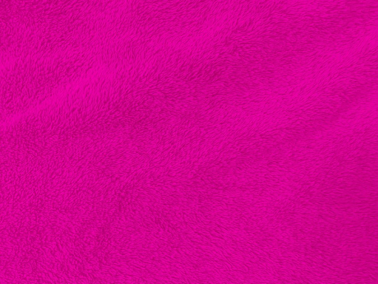 Pink clean wool texture background. light natural sheep wool. Pink seamless cotton. texture of fluffy fur for designers. close-up fragment white wool carpet.for valentine photo