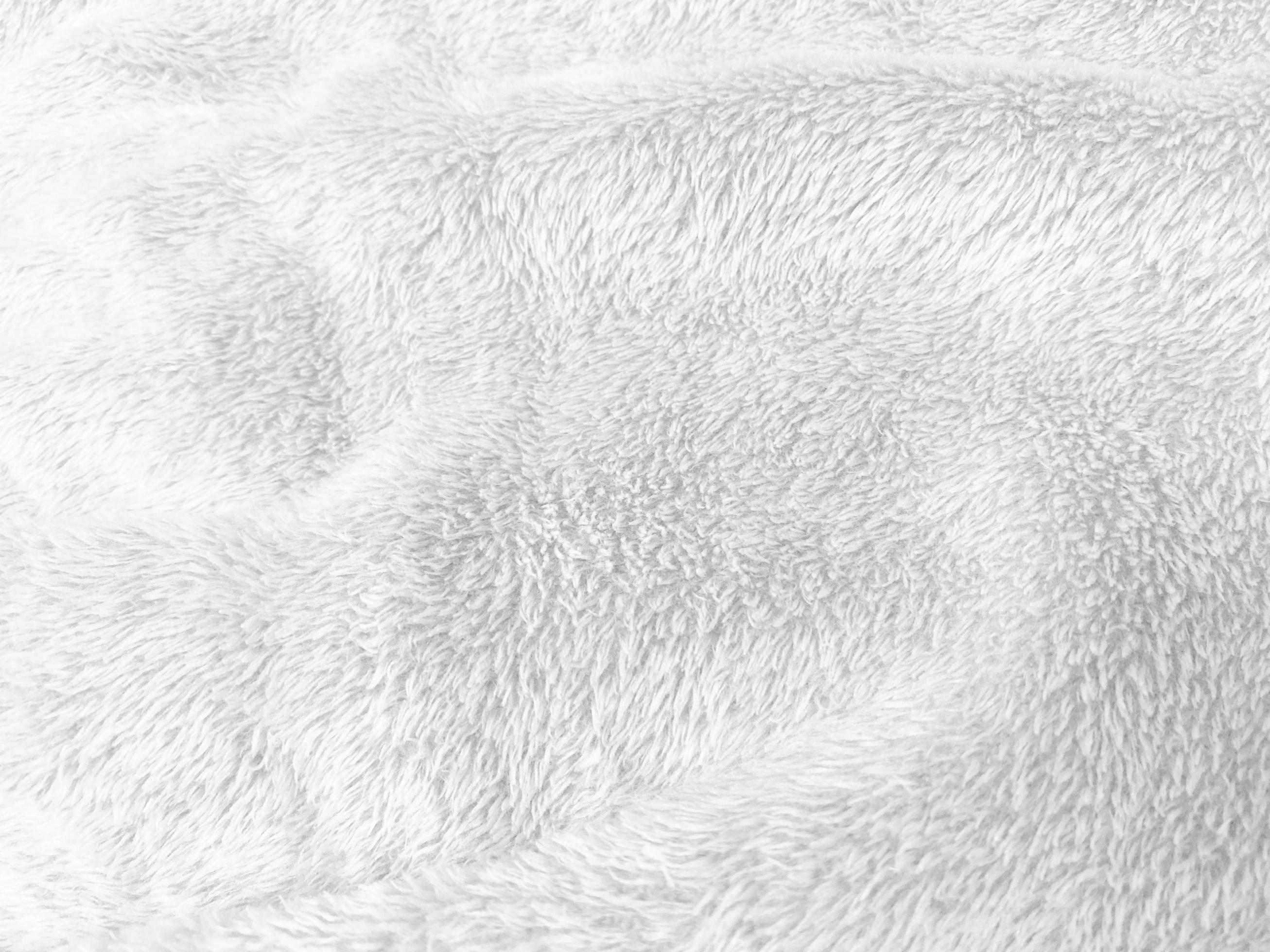 Fur Texture Light Natural White Fabric Background Flawlessly Clean