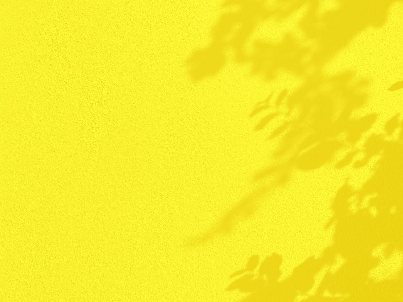 textura transparente de pared de cemento amarillo una superficie áspera y sombra de hoja, con espacio para texto, para un fondo. foto